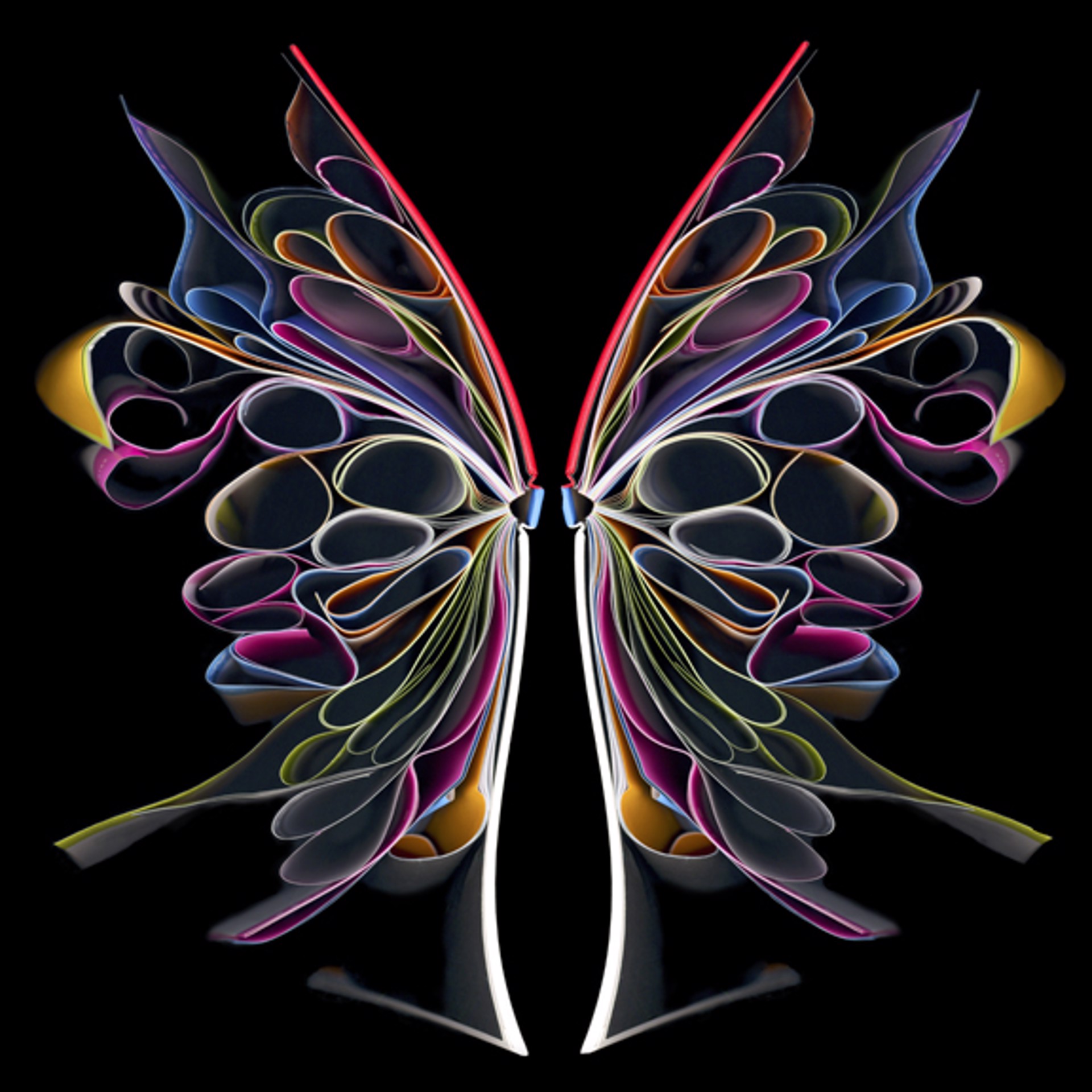 Butterfly 2 by Cara Barer