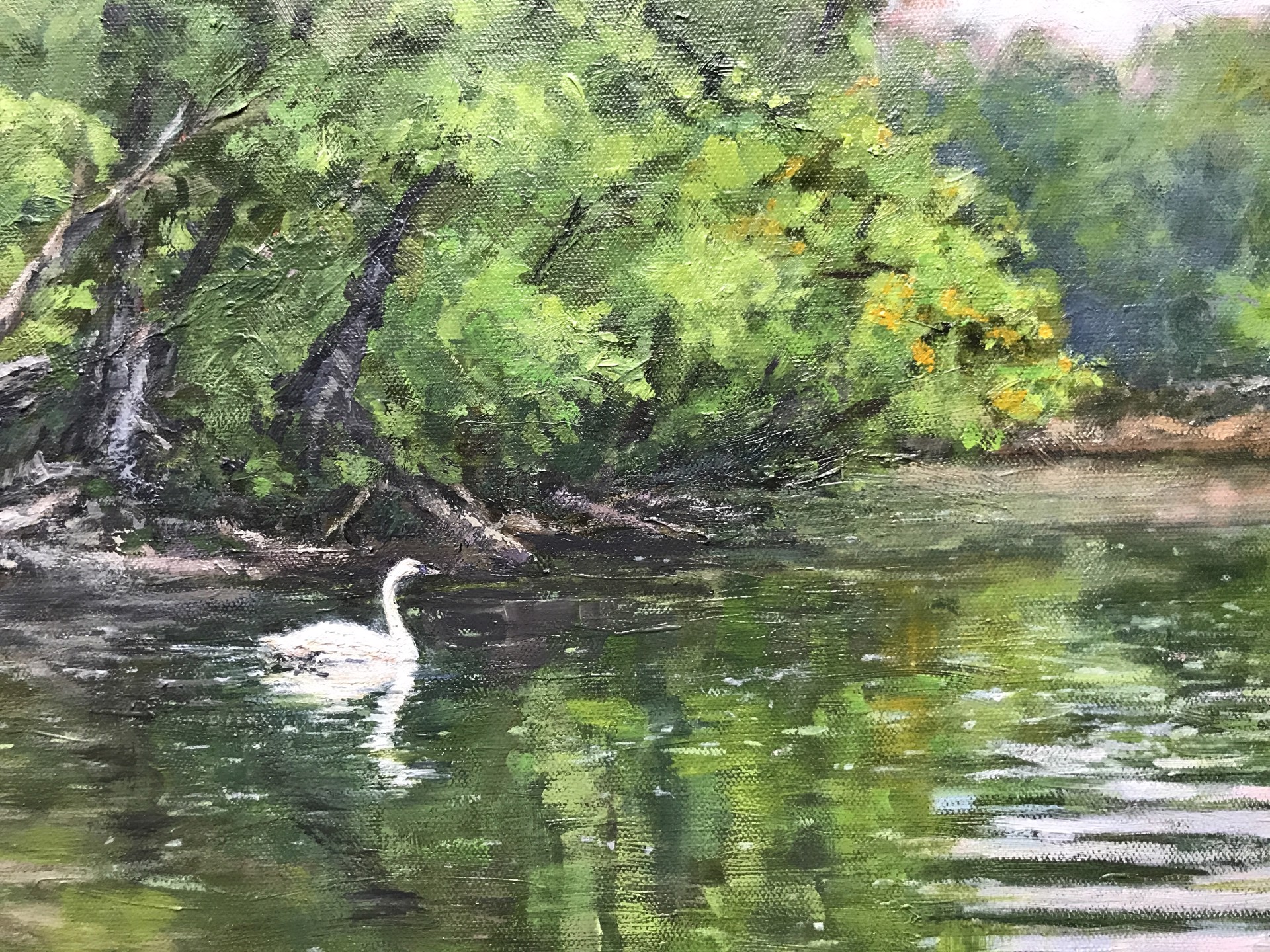 River Bend With Swan by Joseph Theroux