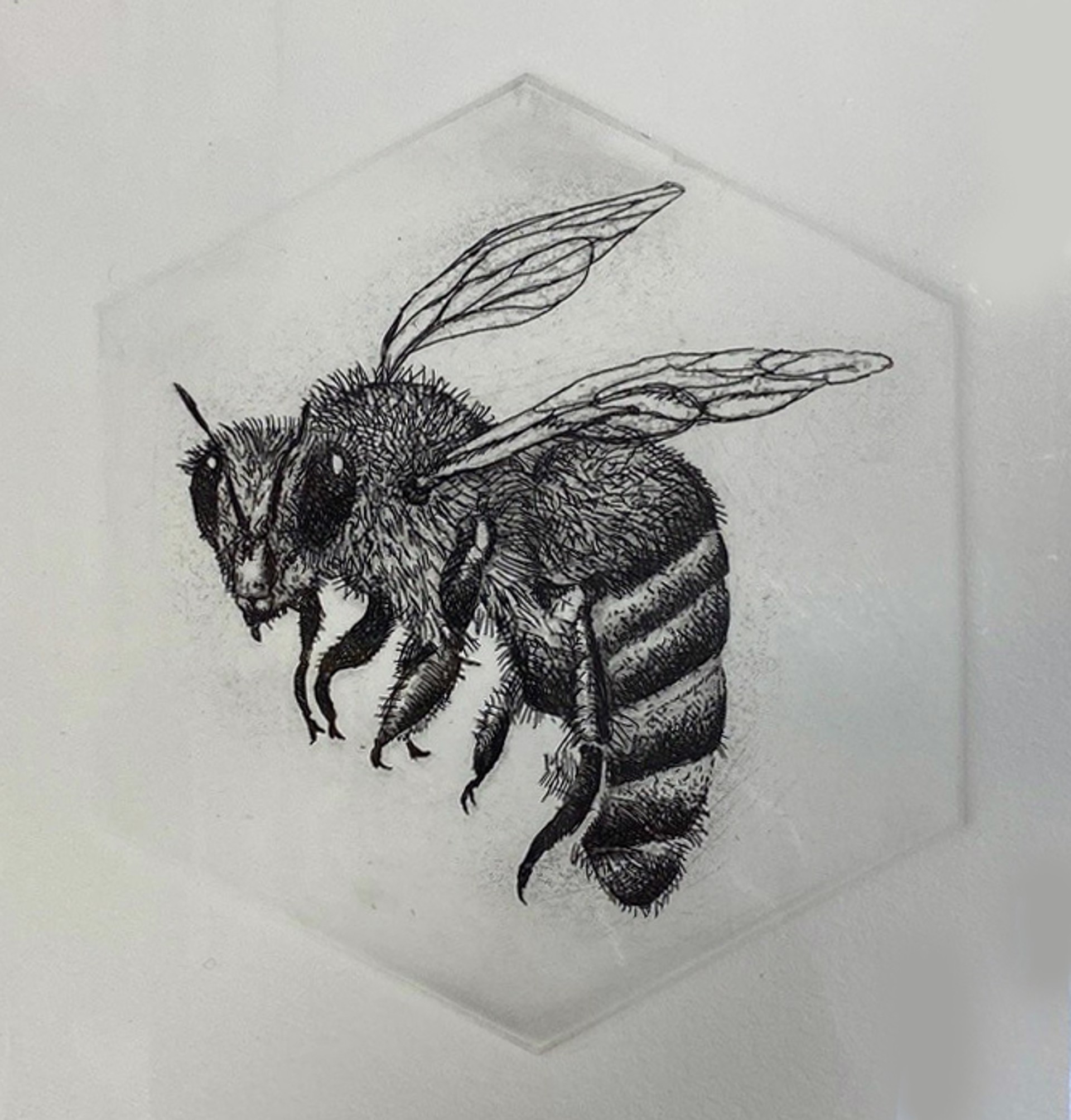 Honey Bee #7 by Marit Berg