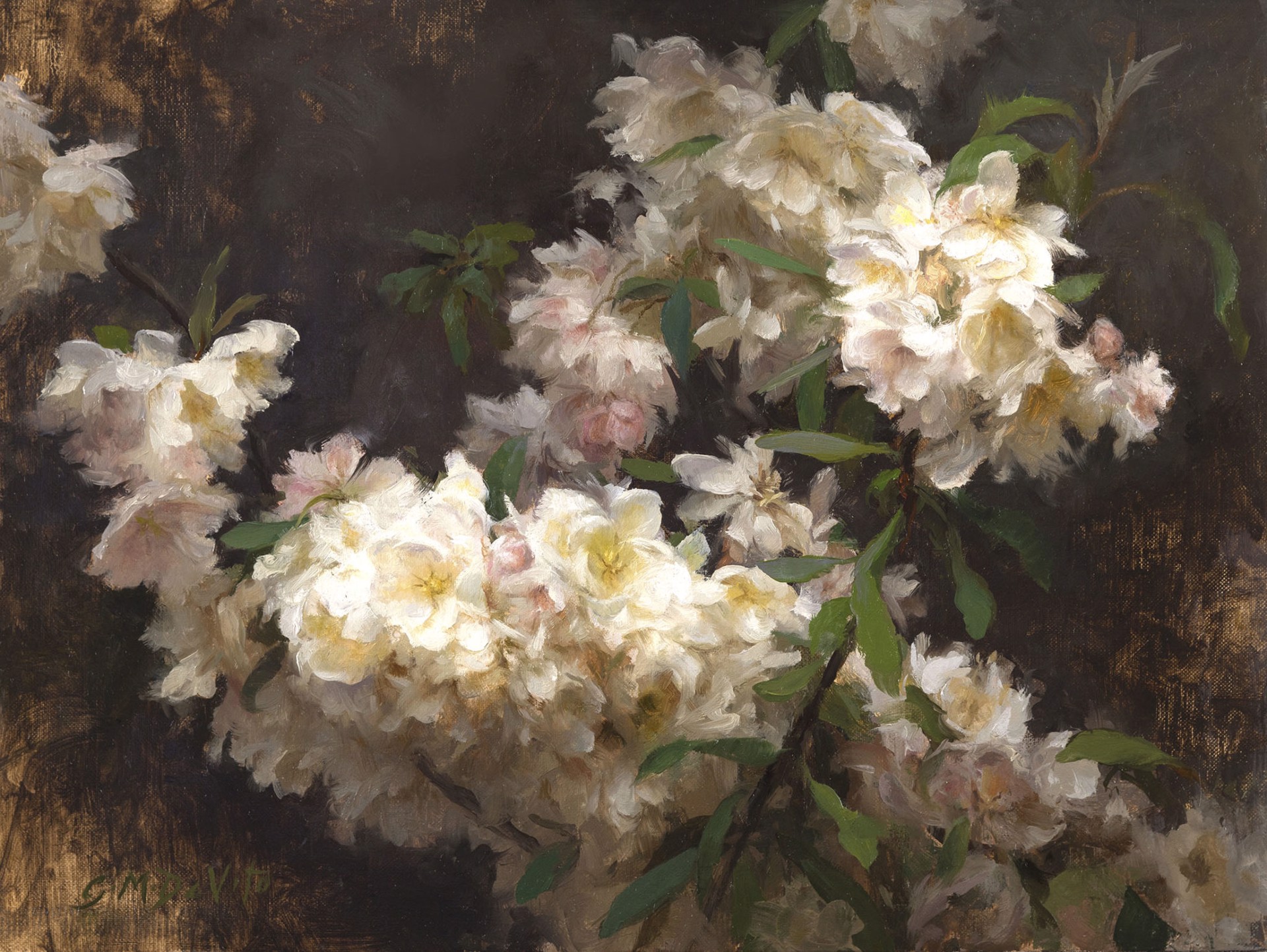 Apple Blossoms by Grace DeVito