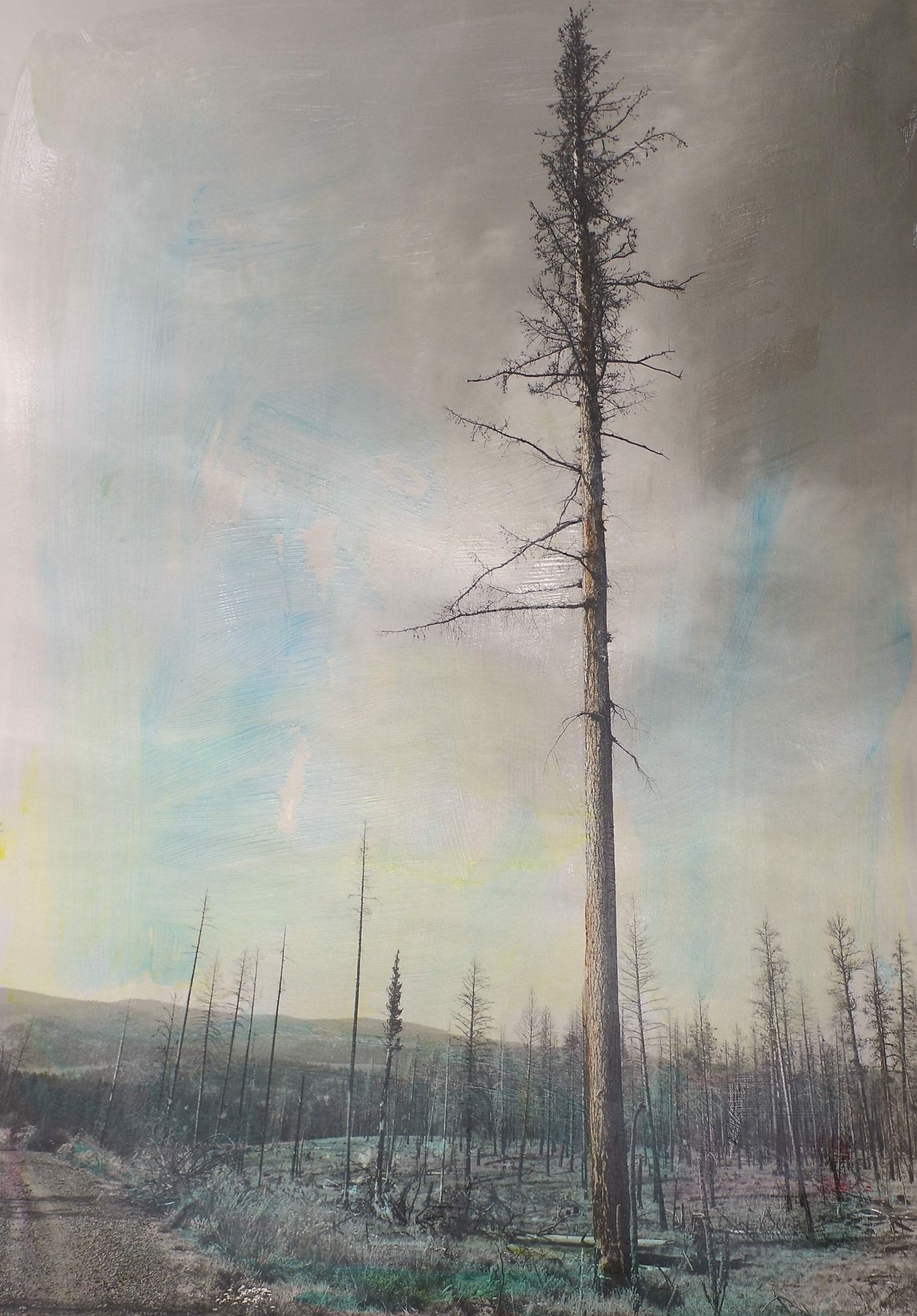 Burn Near Table Rock | Bob Keefer by Jackson Hole Art Invitational x