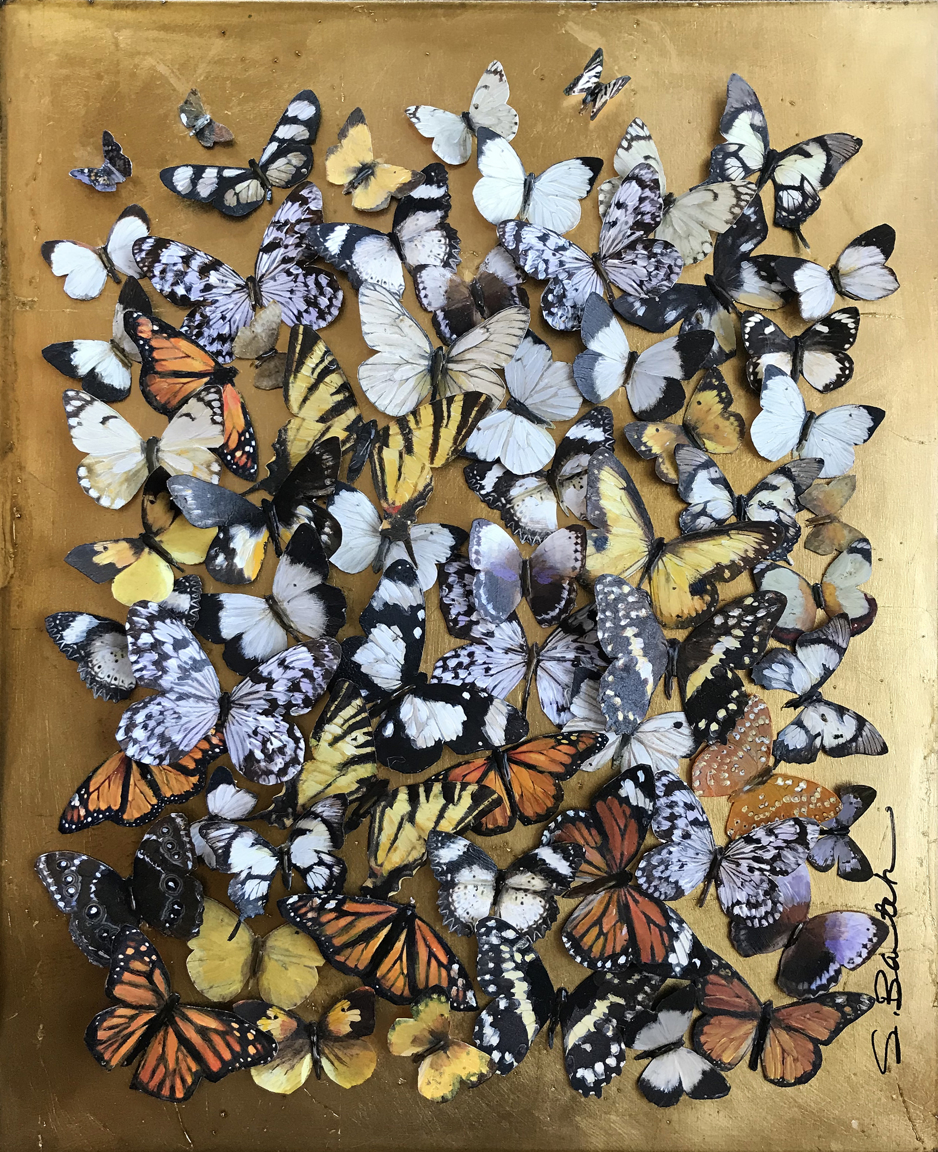 Butterflies in Flight by Shelly Bartek