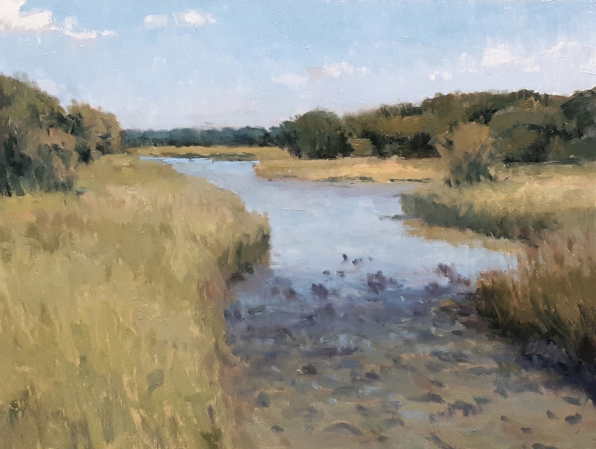 Salt Marsh Creek by John Stanford