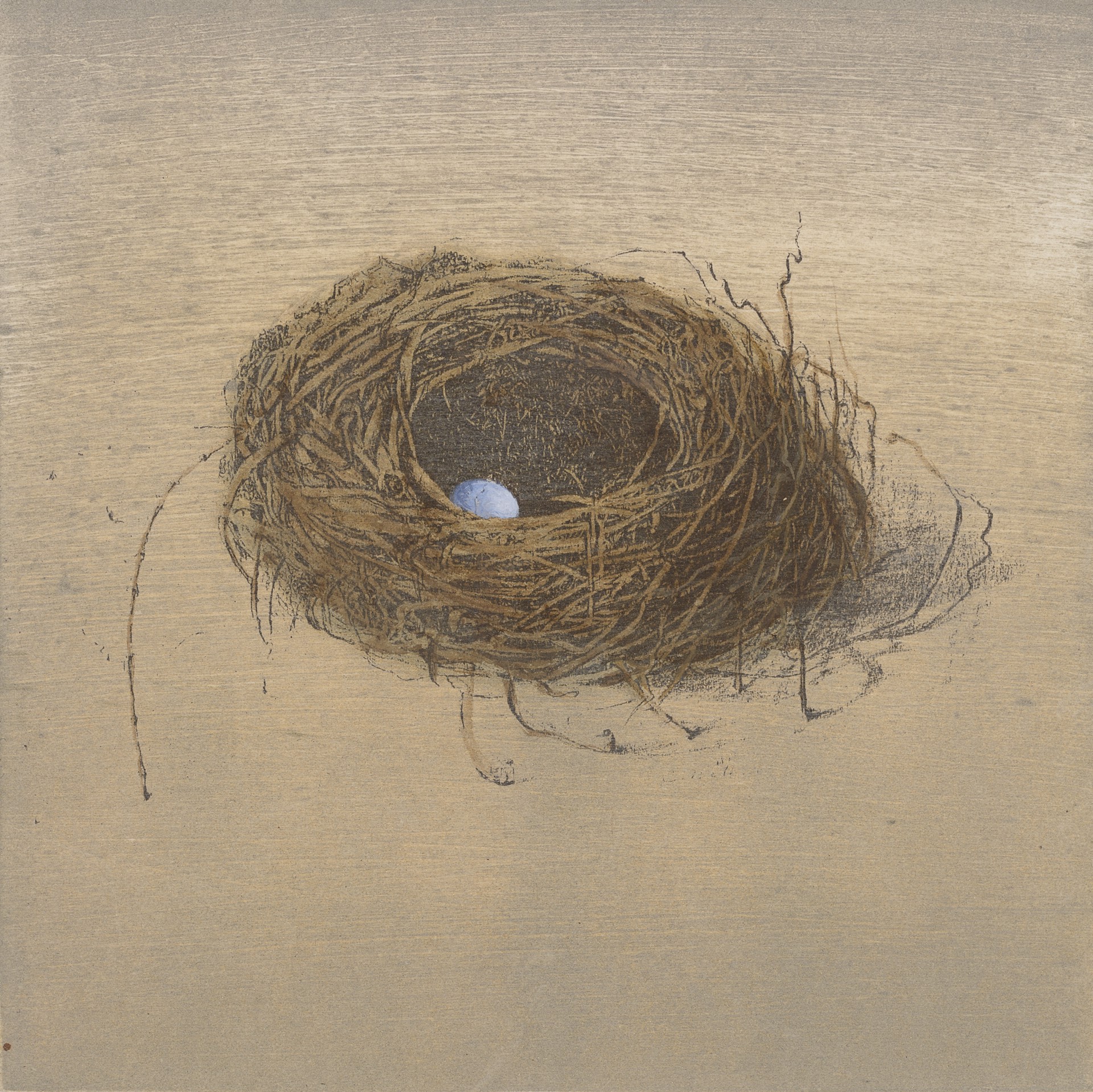 Untitled (Nest) by Carol Mothner