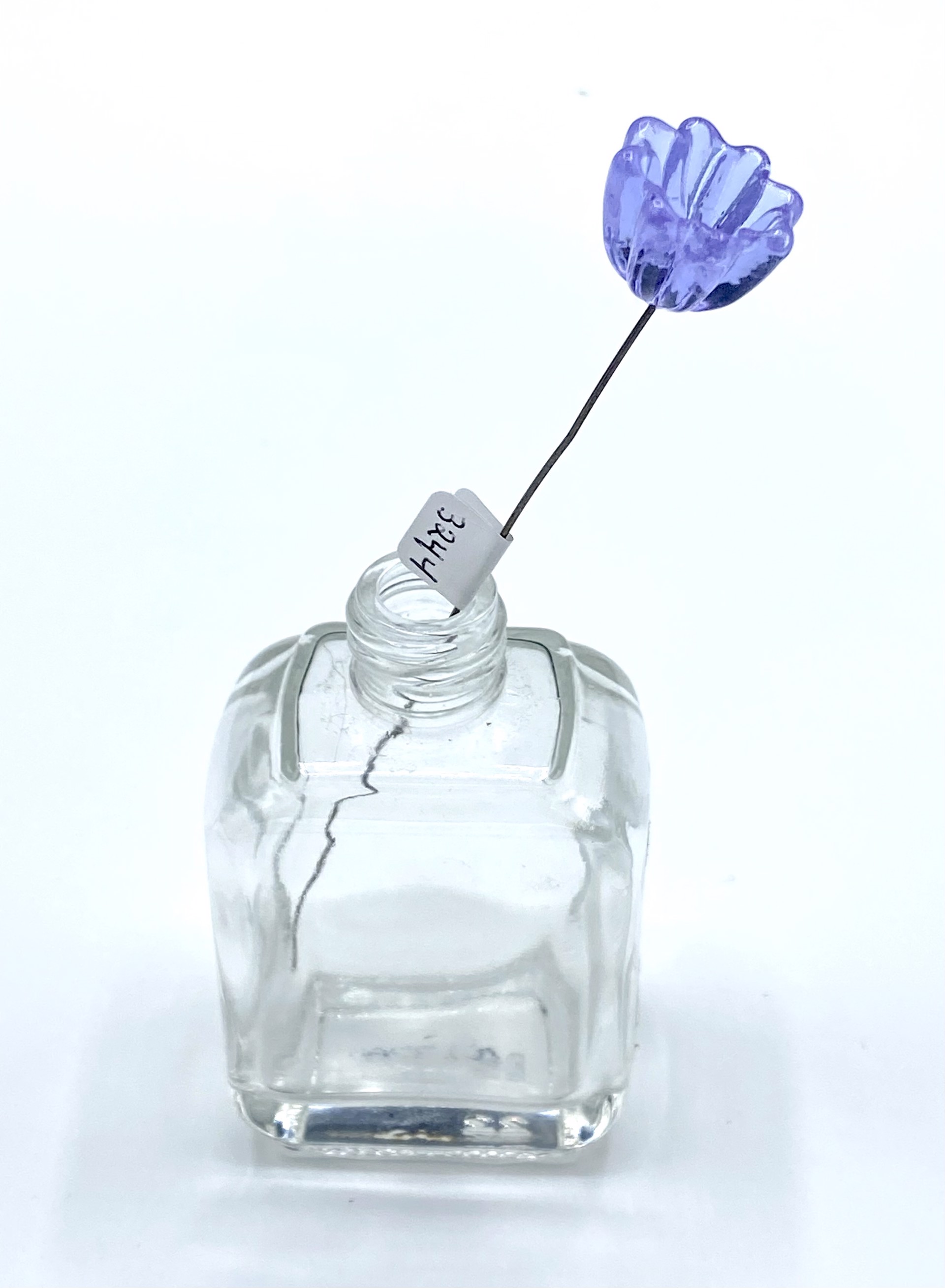 Transparent Lavender Bell Flower by Emelie Hebert