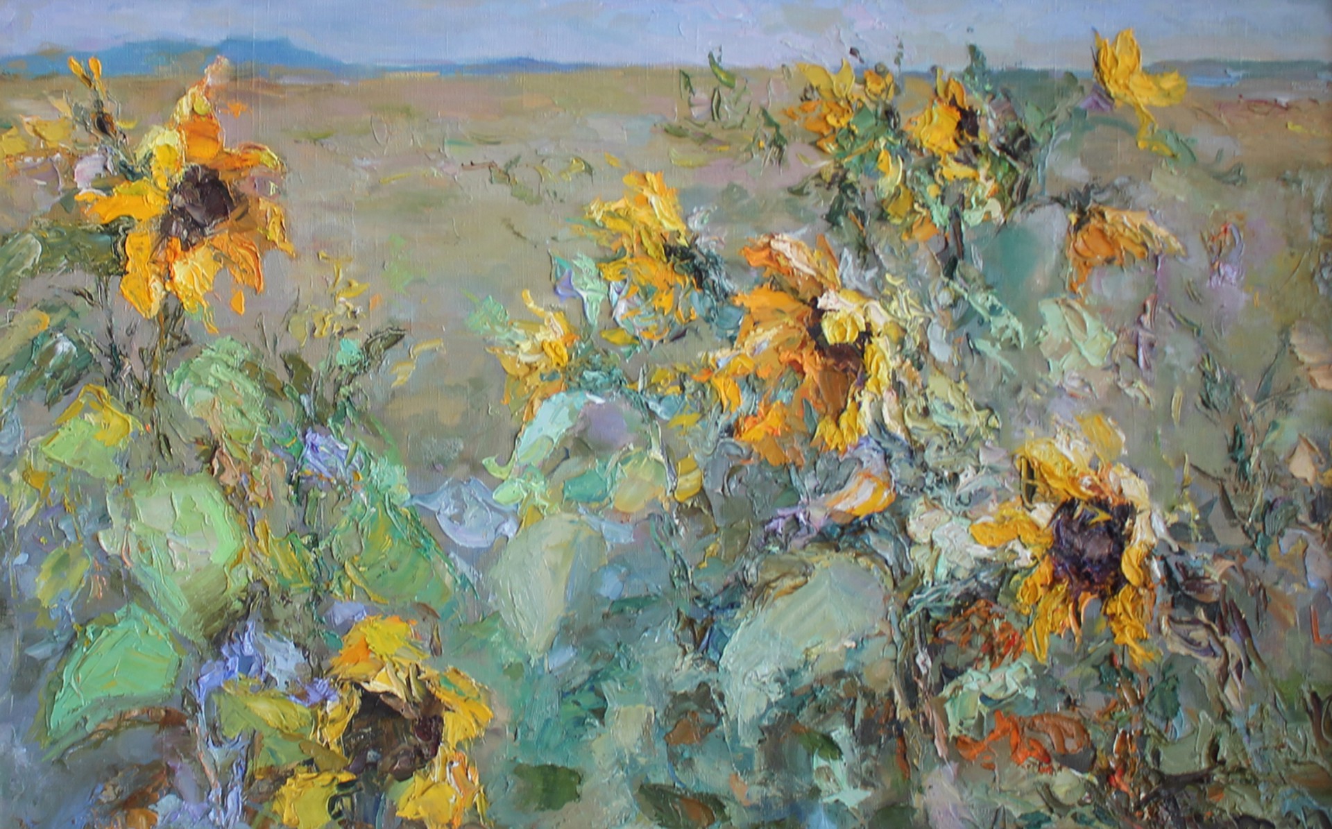 Sunflower Fields by Tuman Zhumabaev