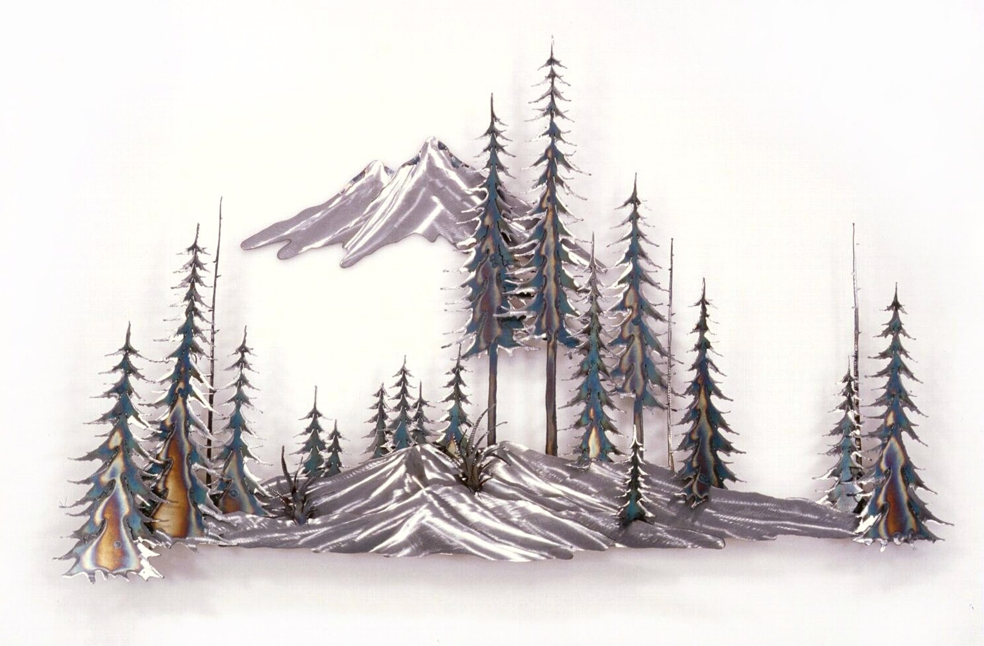Snow Mountain and Trees by Donnie Wanner