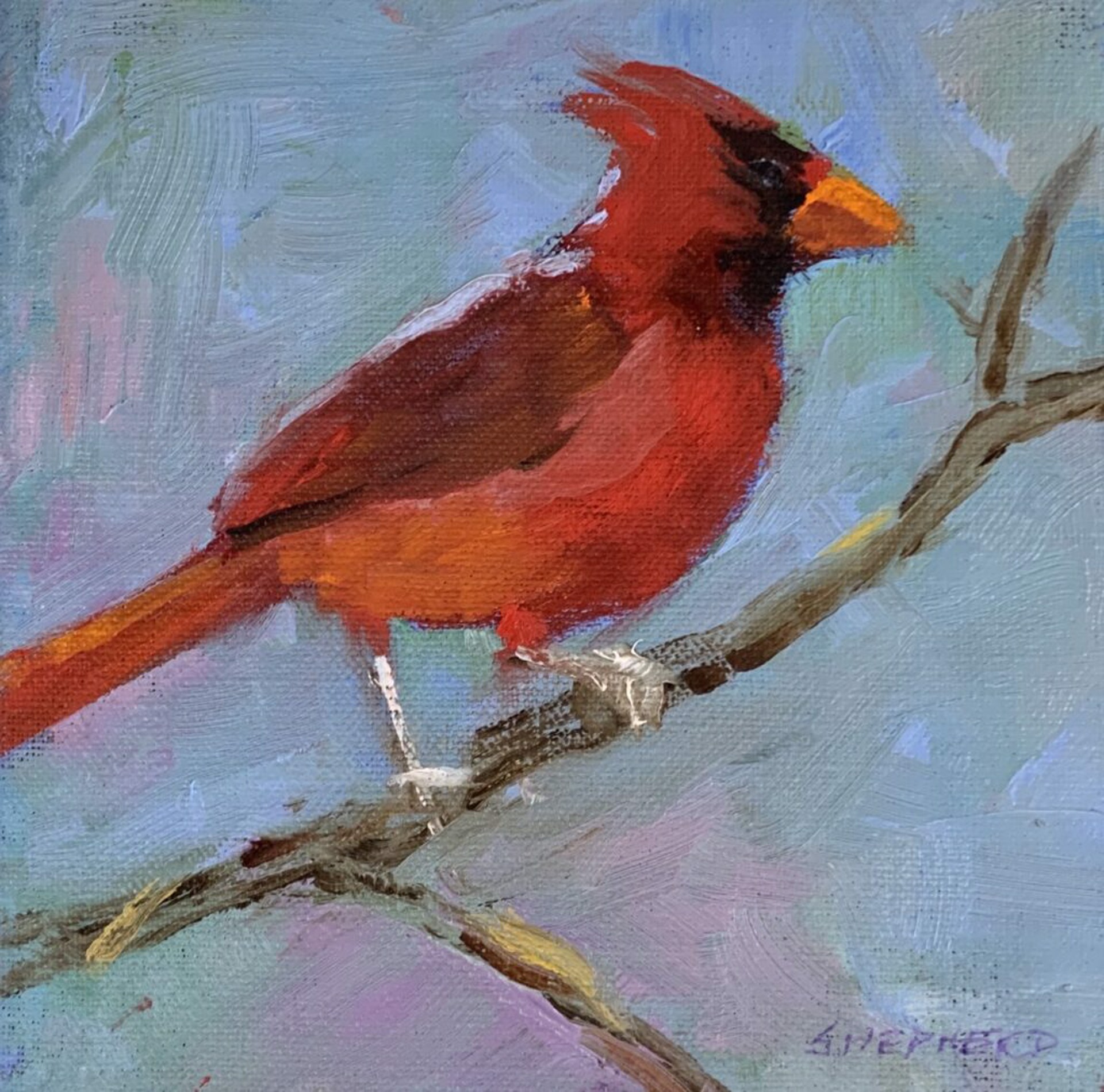 Cardinal on Post by Liz Shepherd