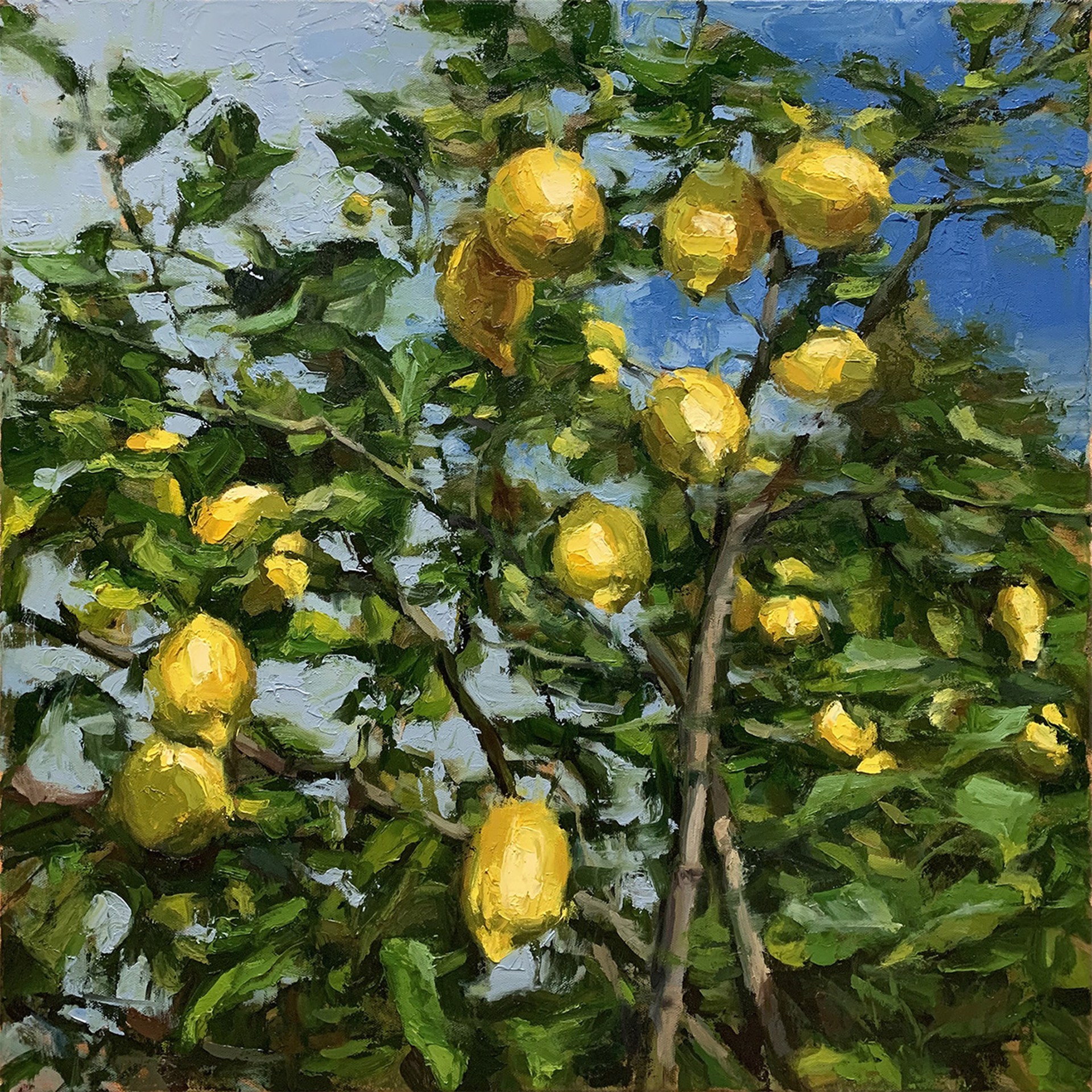 Lemon Tree by Pil Ho Lee