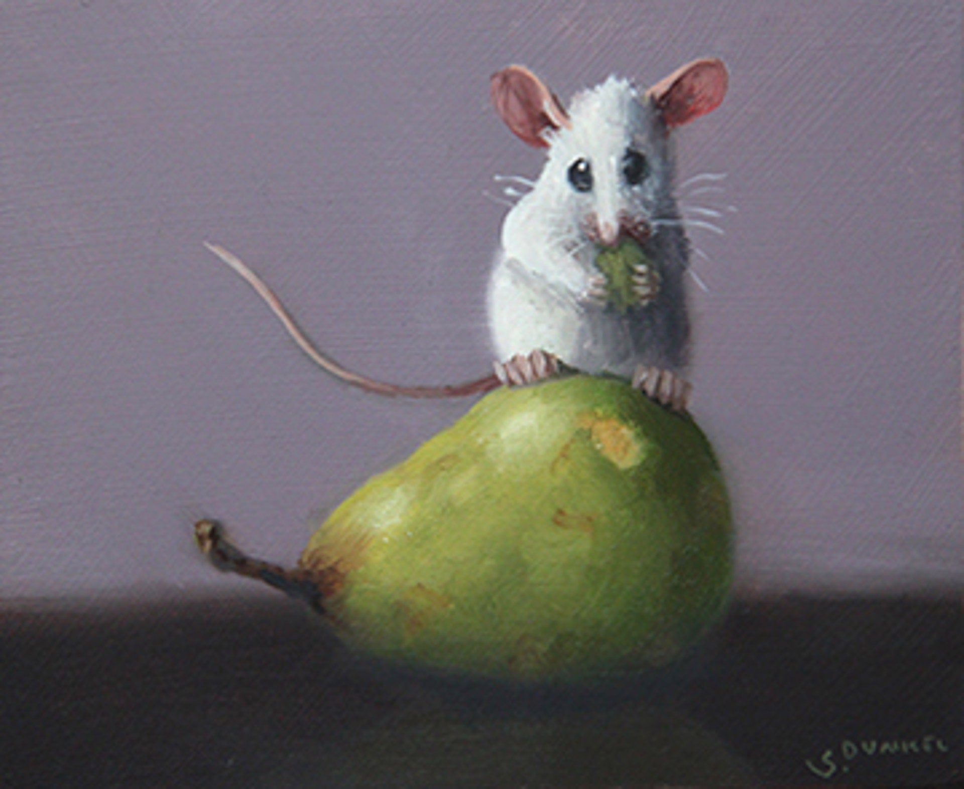 Pear Tester by Stuart Dunkel
