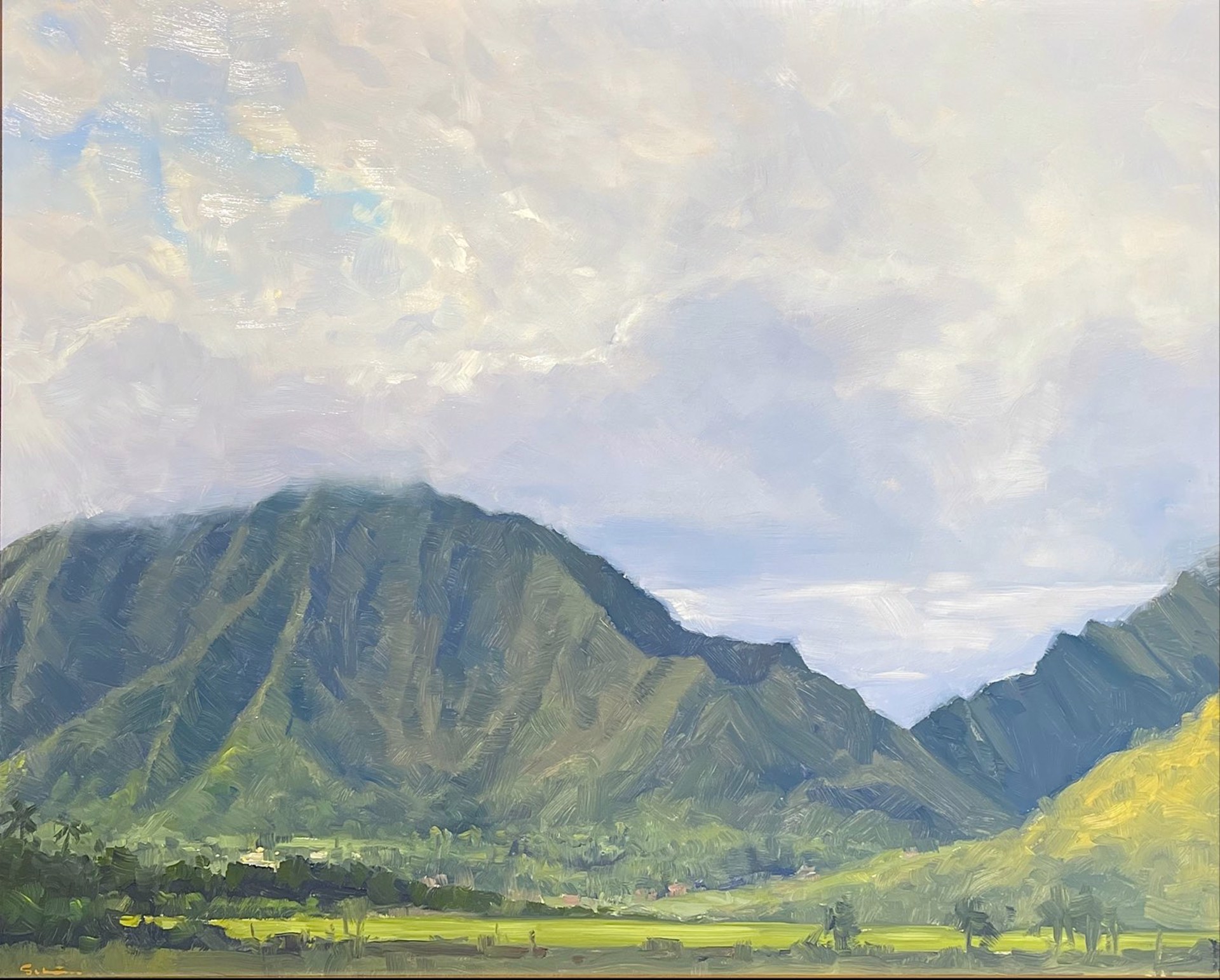 Kailua Fields by Stock Schlueter