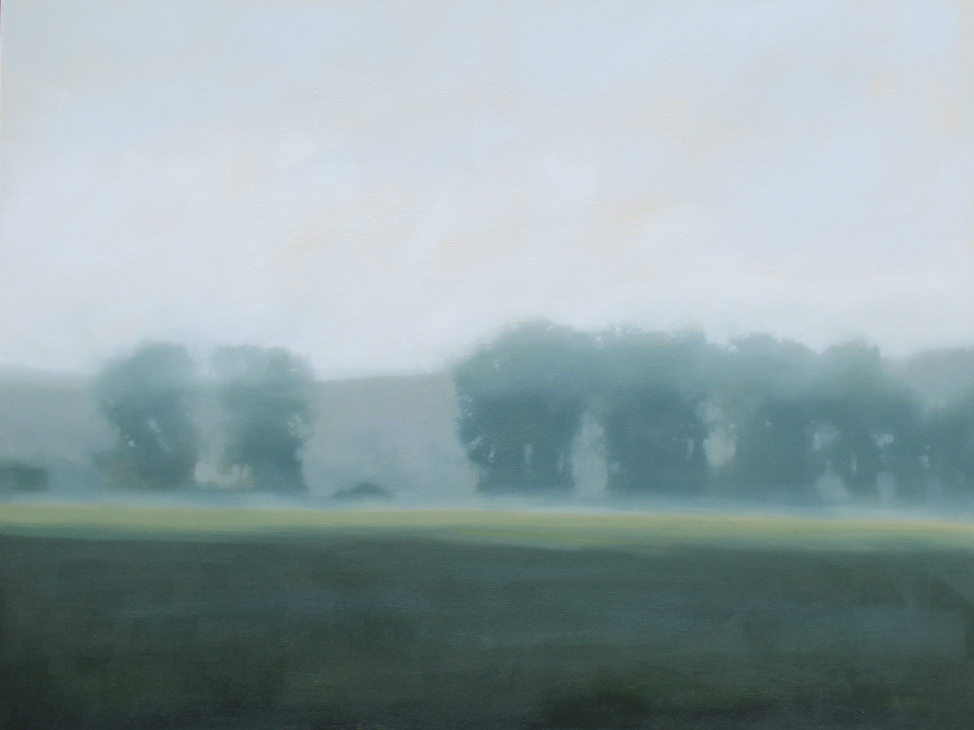 Misty Treeline {SOLD} by Megan Lightell