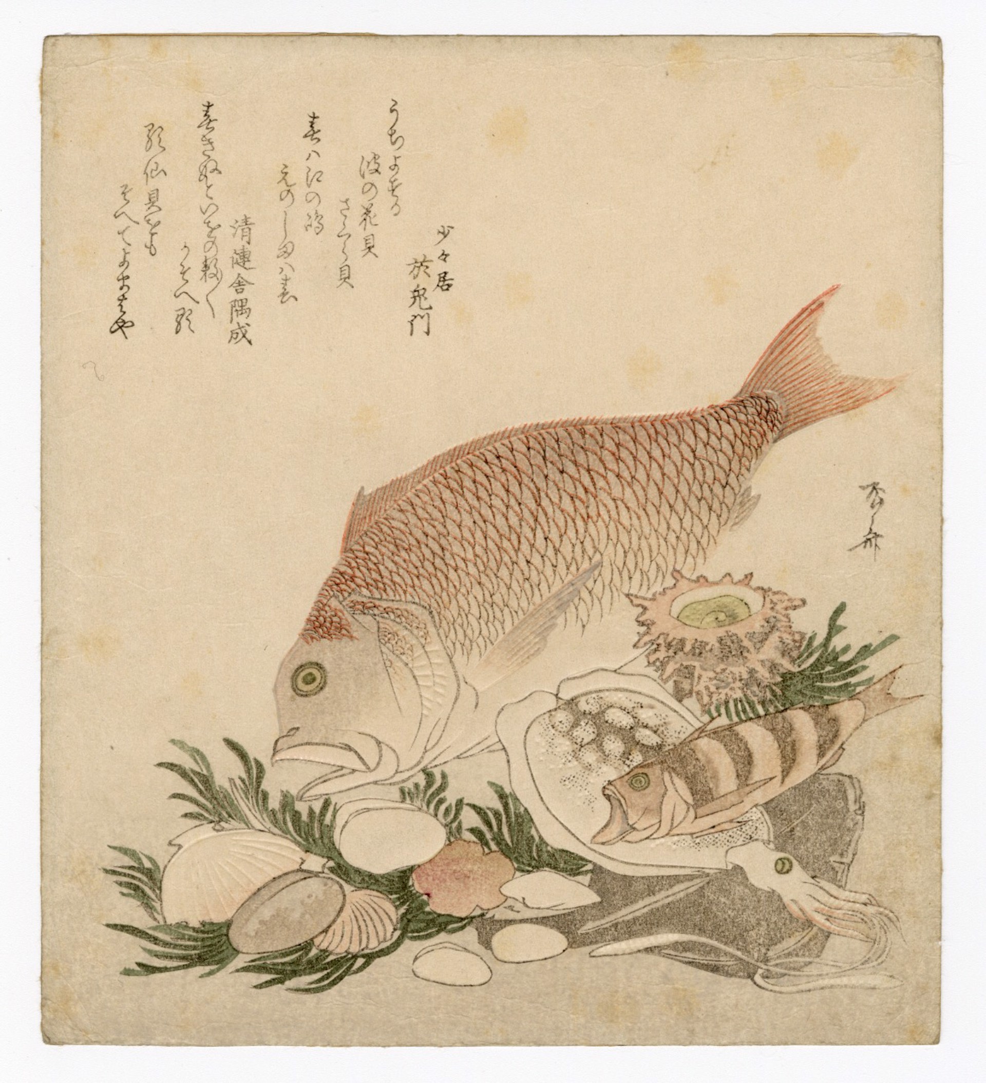 Fishes and Shells by Shinsai
