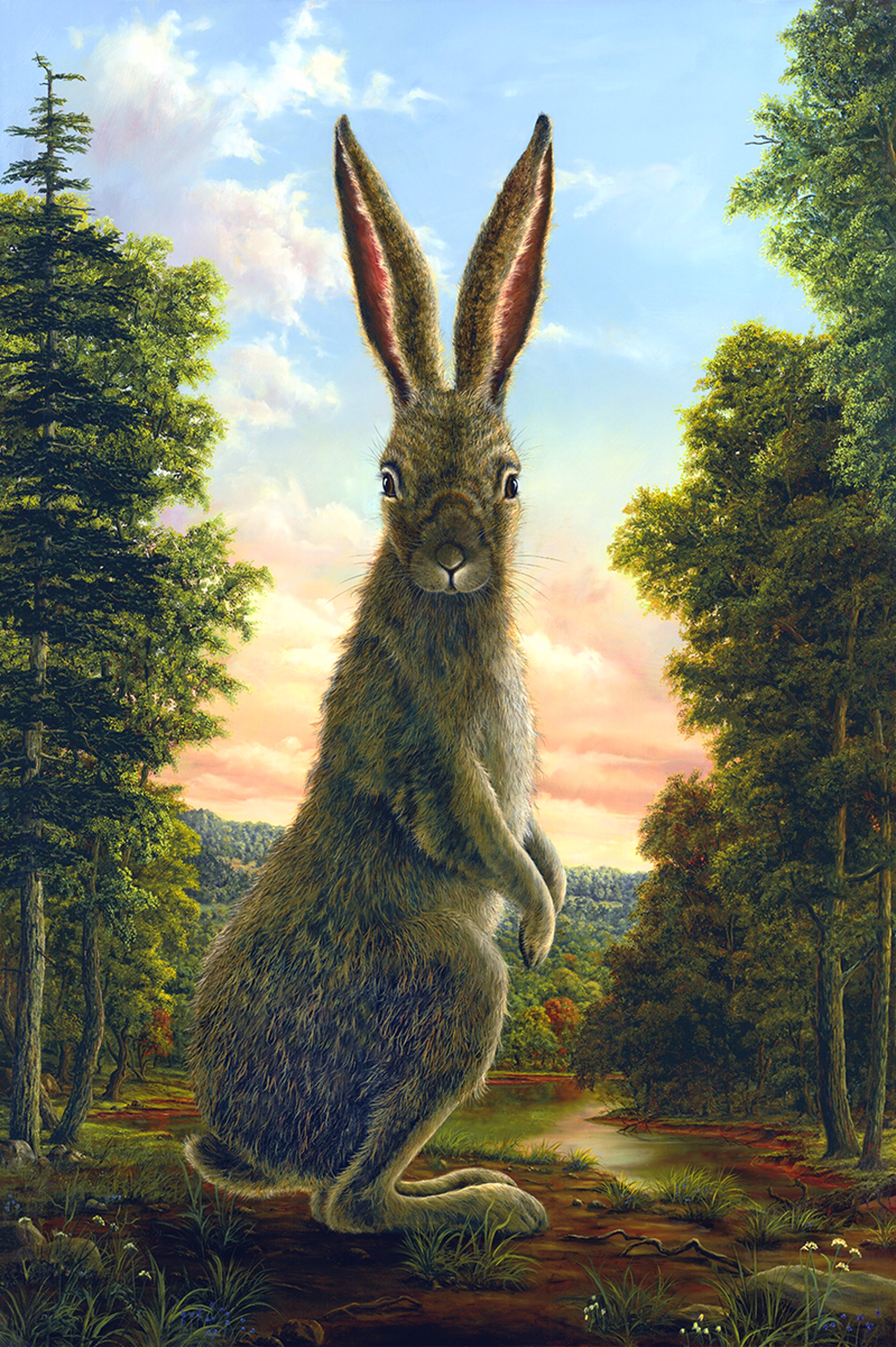Lepus - SOLD OUT ON ALL EDITIONS by Robert Bissell