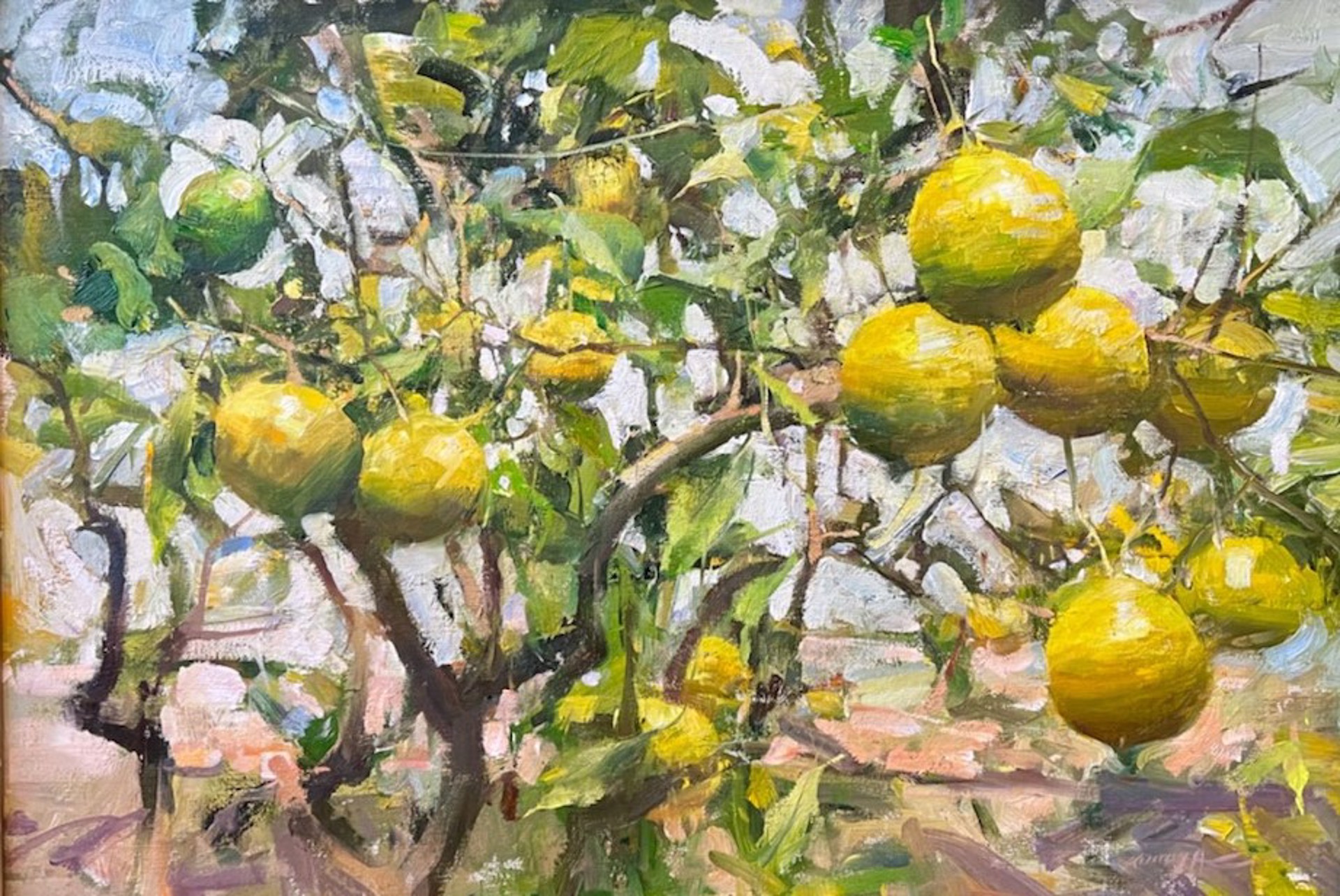 Meier Lemons by Quang Ho