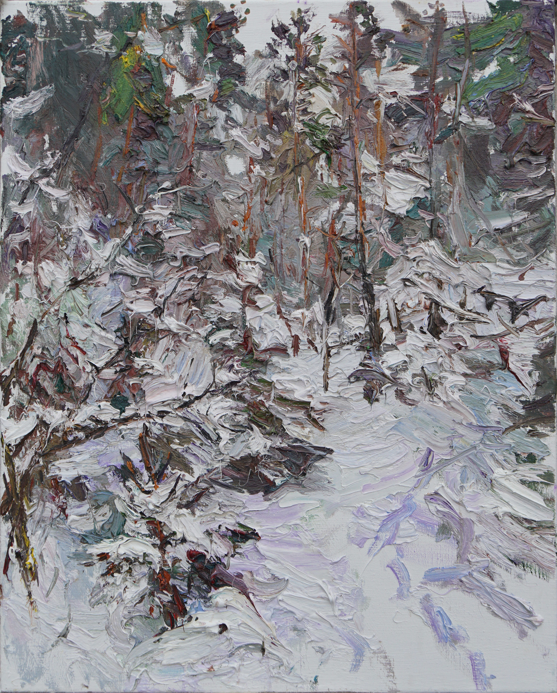 Heavy Snow, Karelia by Ulrich Gleiter