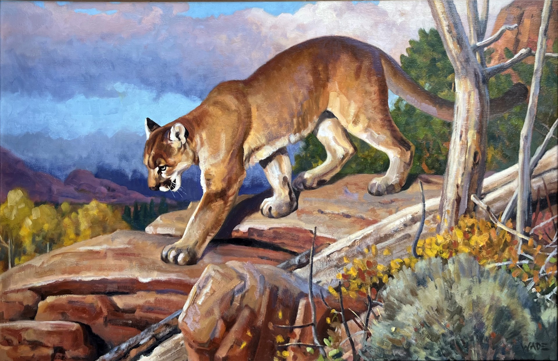 The Stalk by Dave Wade