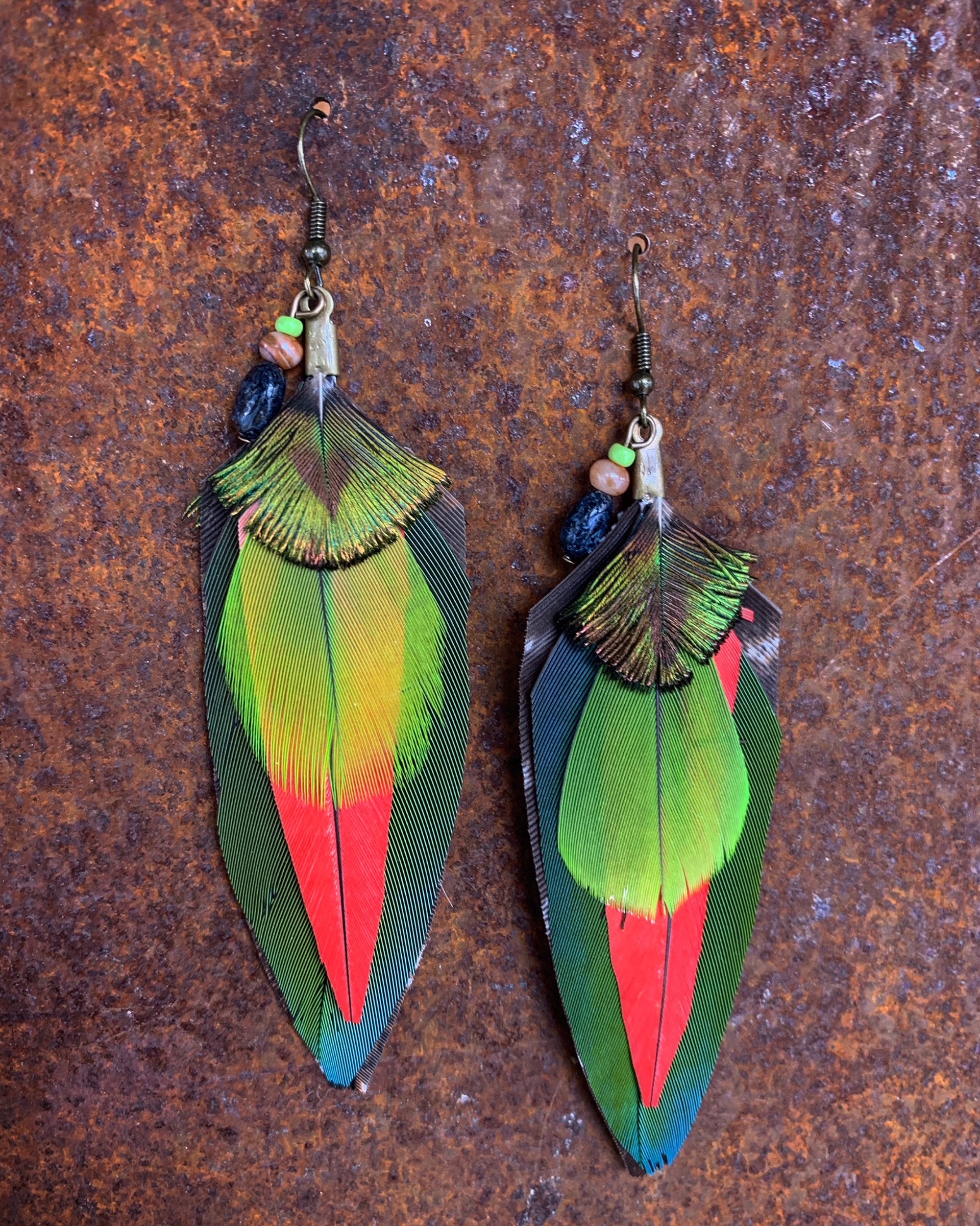 K766 Ethically Sourced Parrot Earrings by Kelly Ormsby