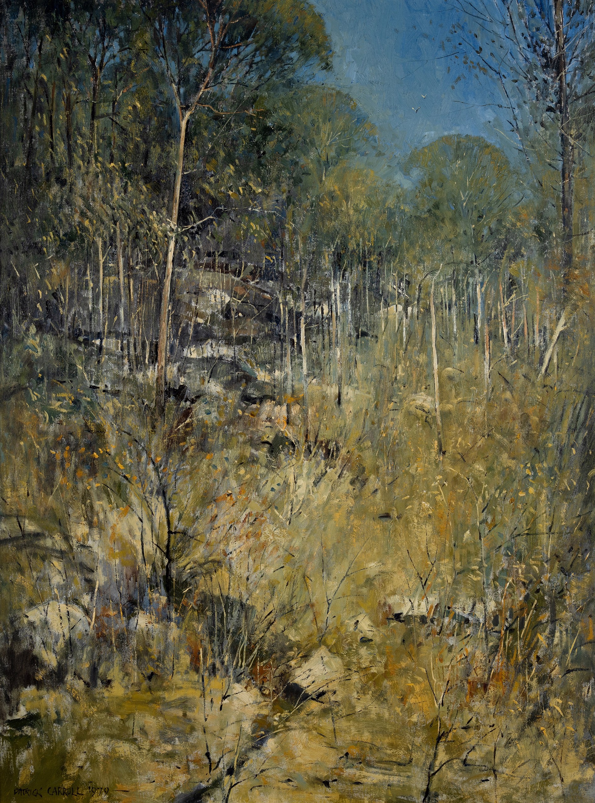 Australian Bush (the Blue and the Gold) by Patrick Carroll