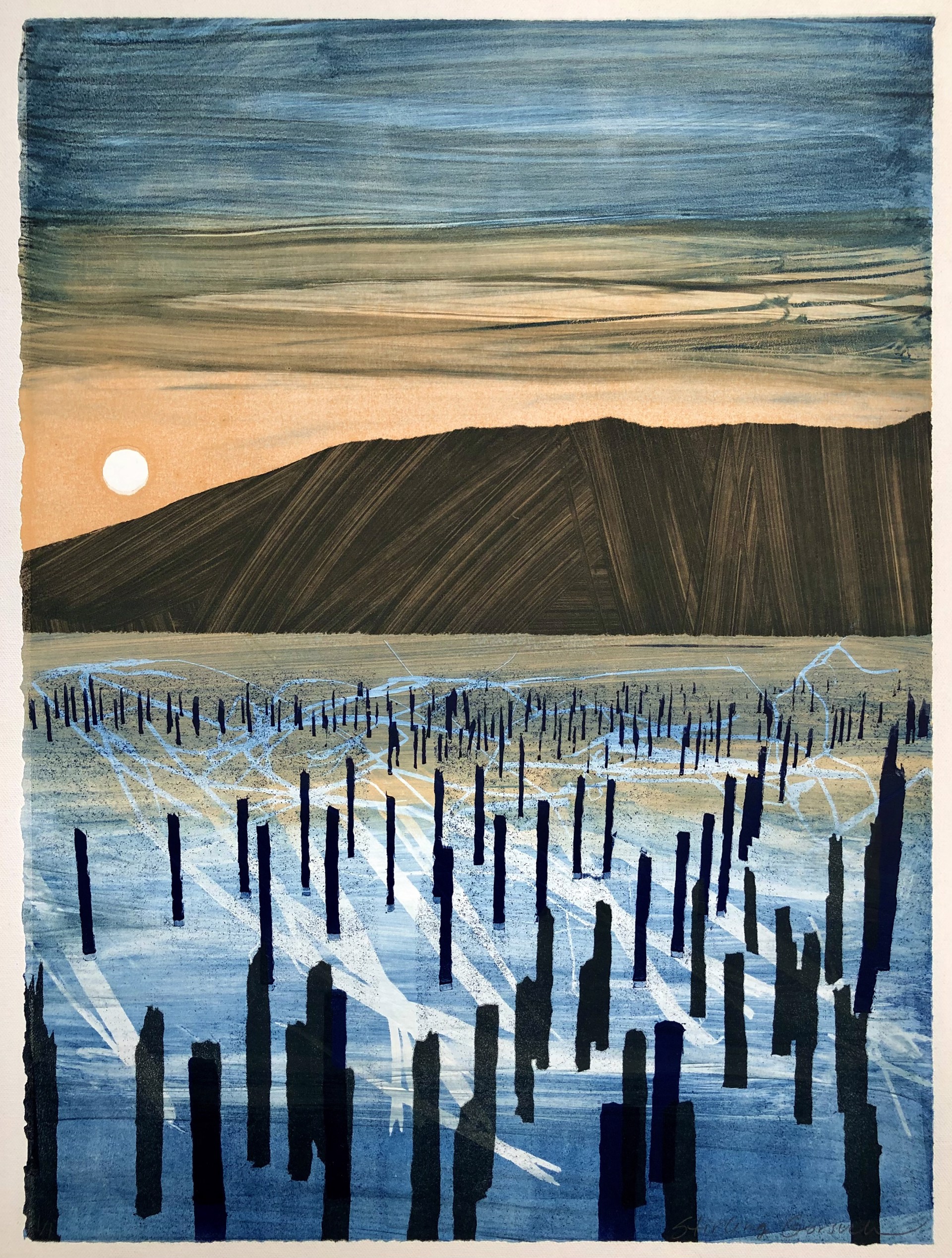 Weather Pattern 1 by Stirling Gorsuch