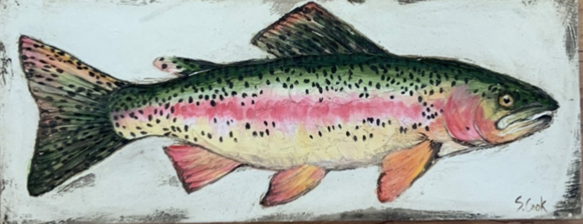 Rainbow Trout II by Sherry Cook