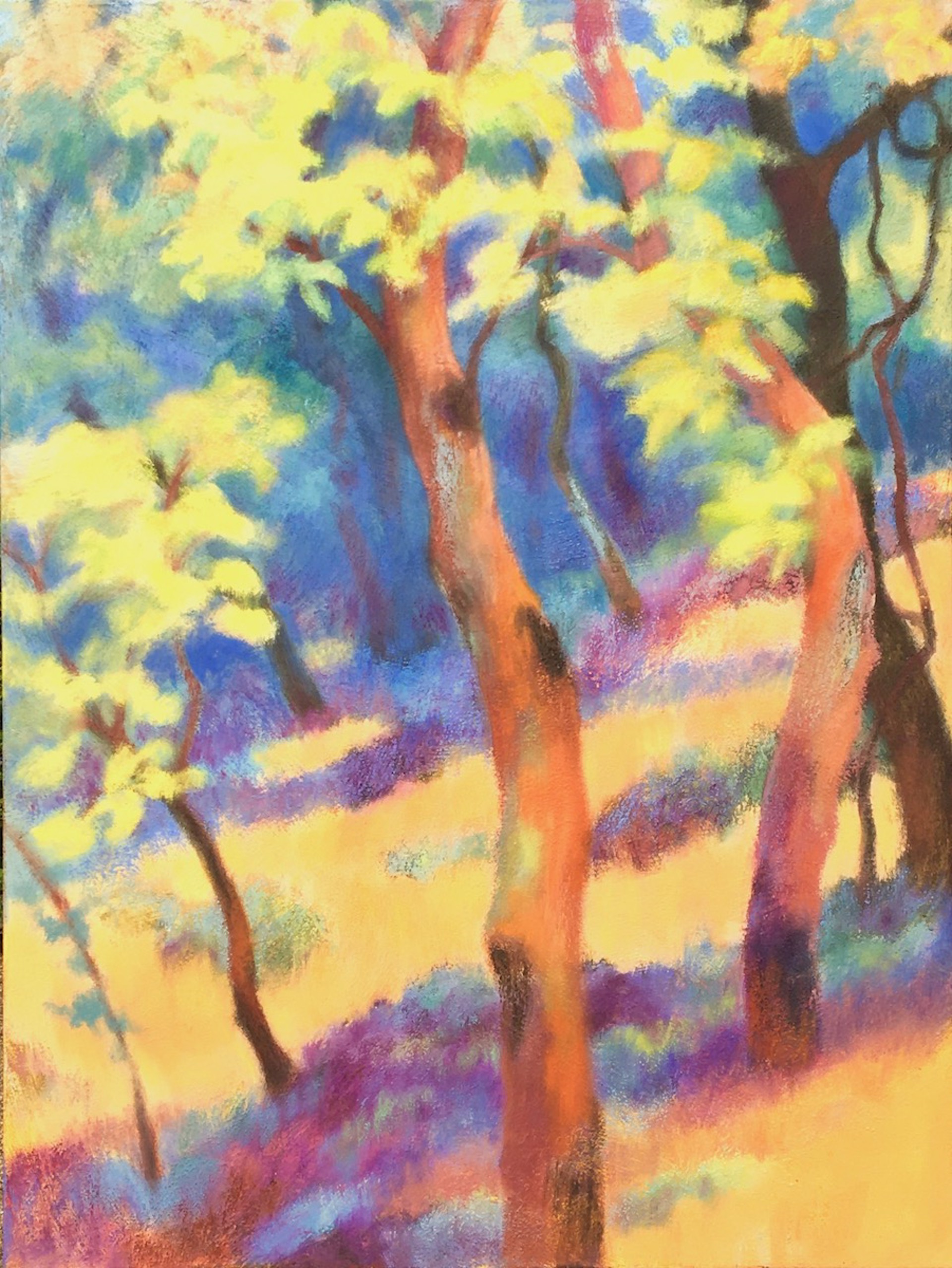 Radiant Trees by Melissa Lofton