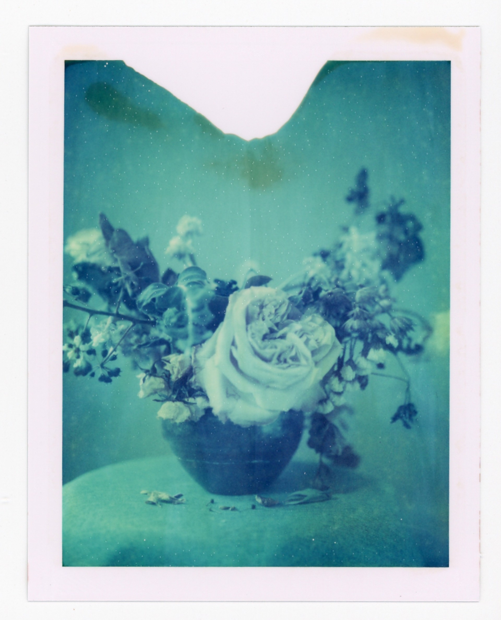 Of the Moment Only No.2 by Scott Asano