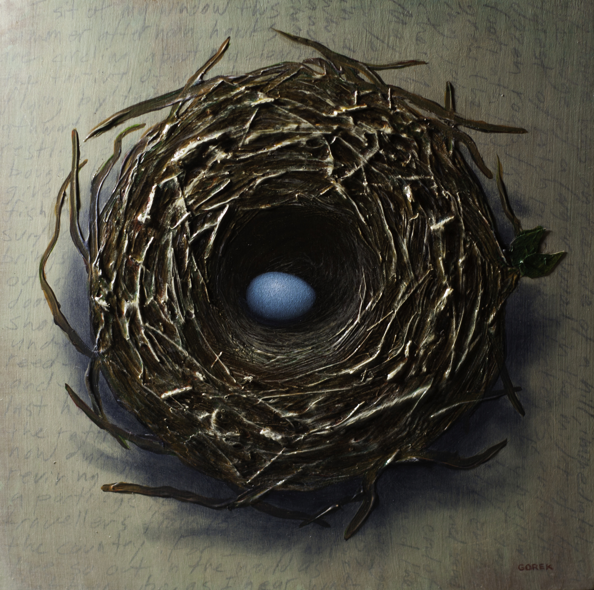 Bird's Nest, One Egg by Thane Gorek