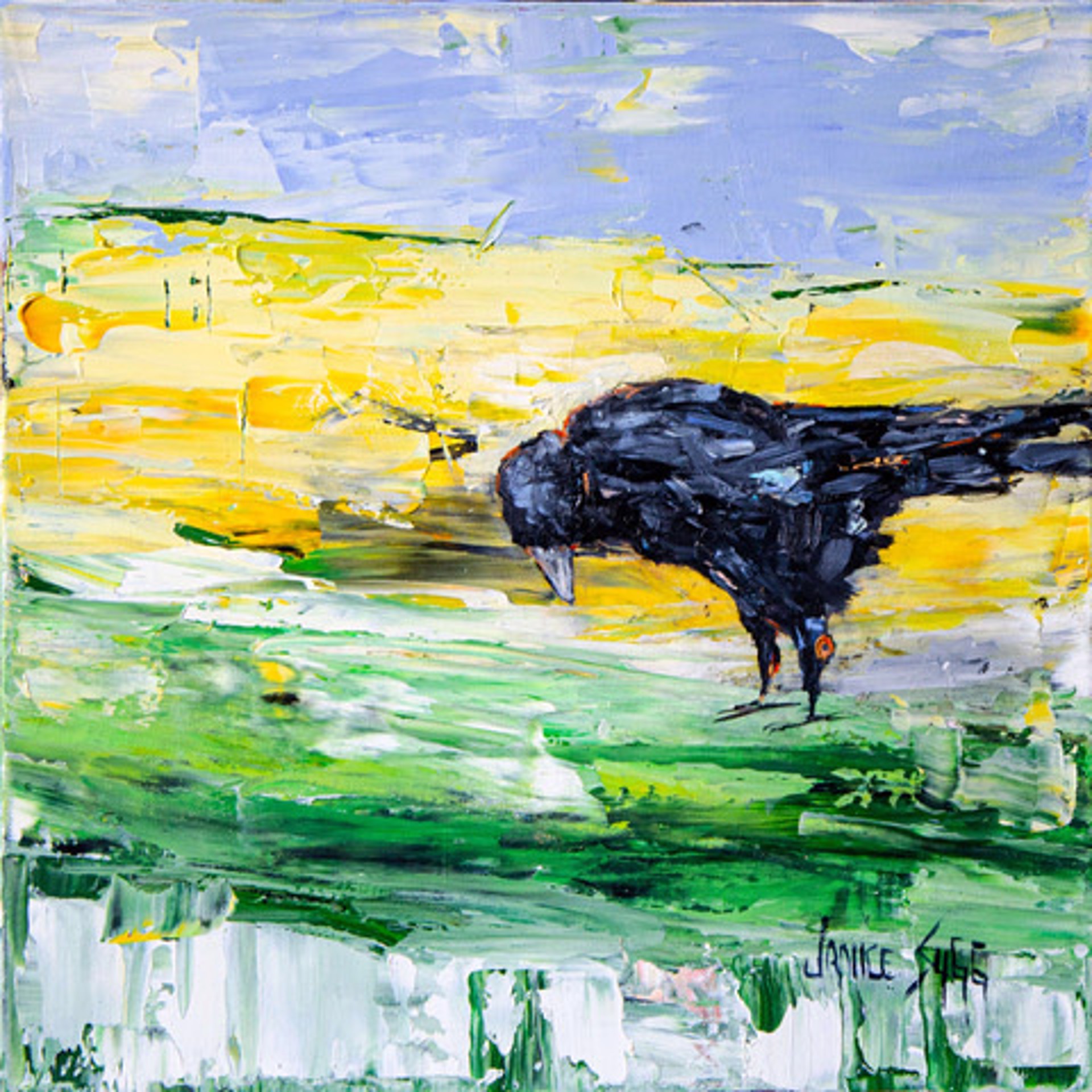 Black Crow, Green Meadow by Janice SUGG