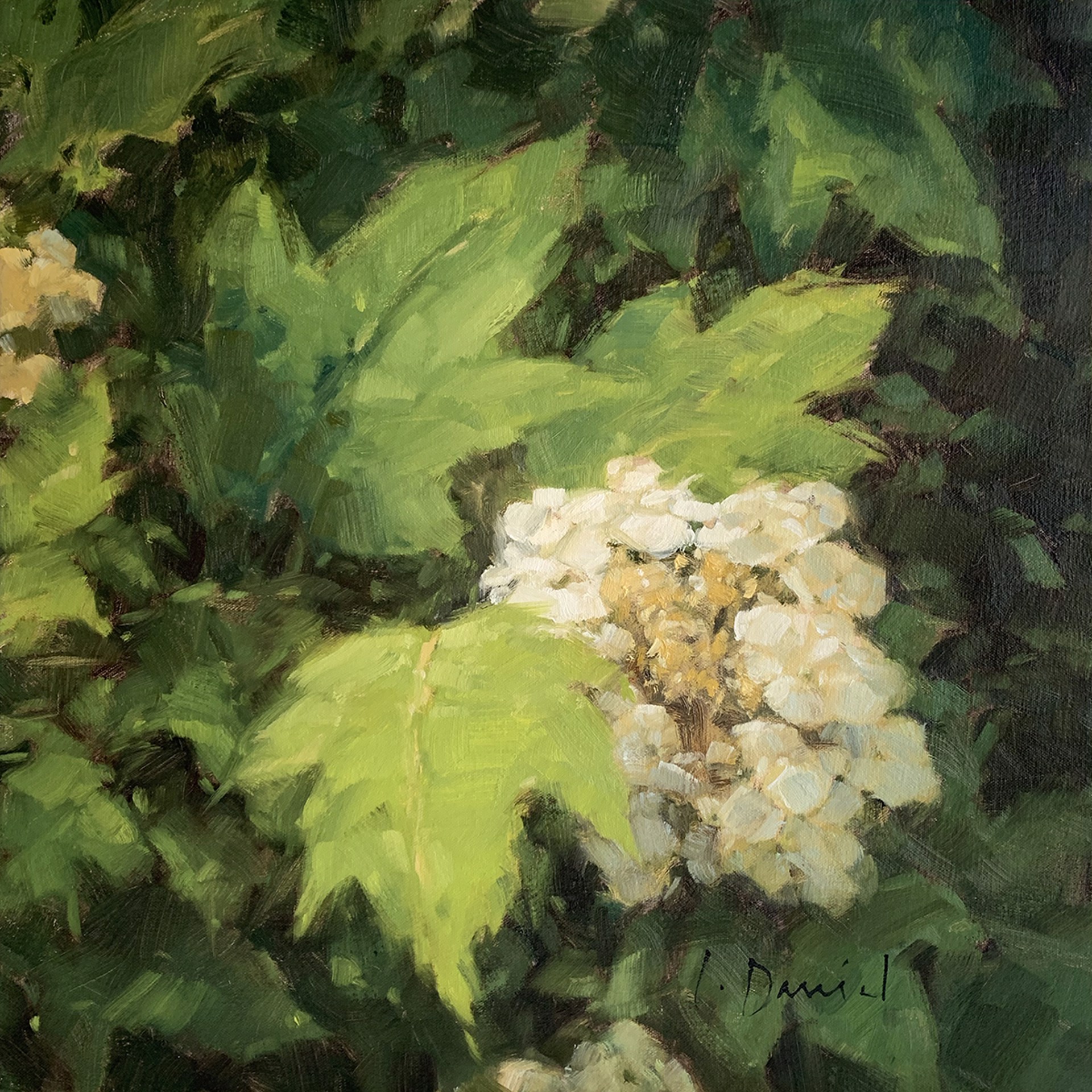 Lacey Blossoms by Laurel Daniel
