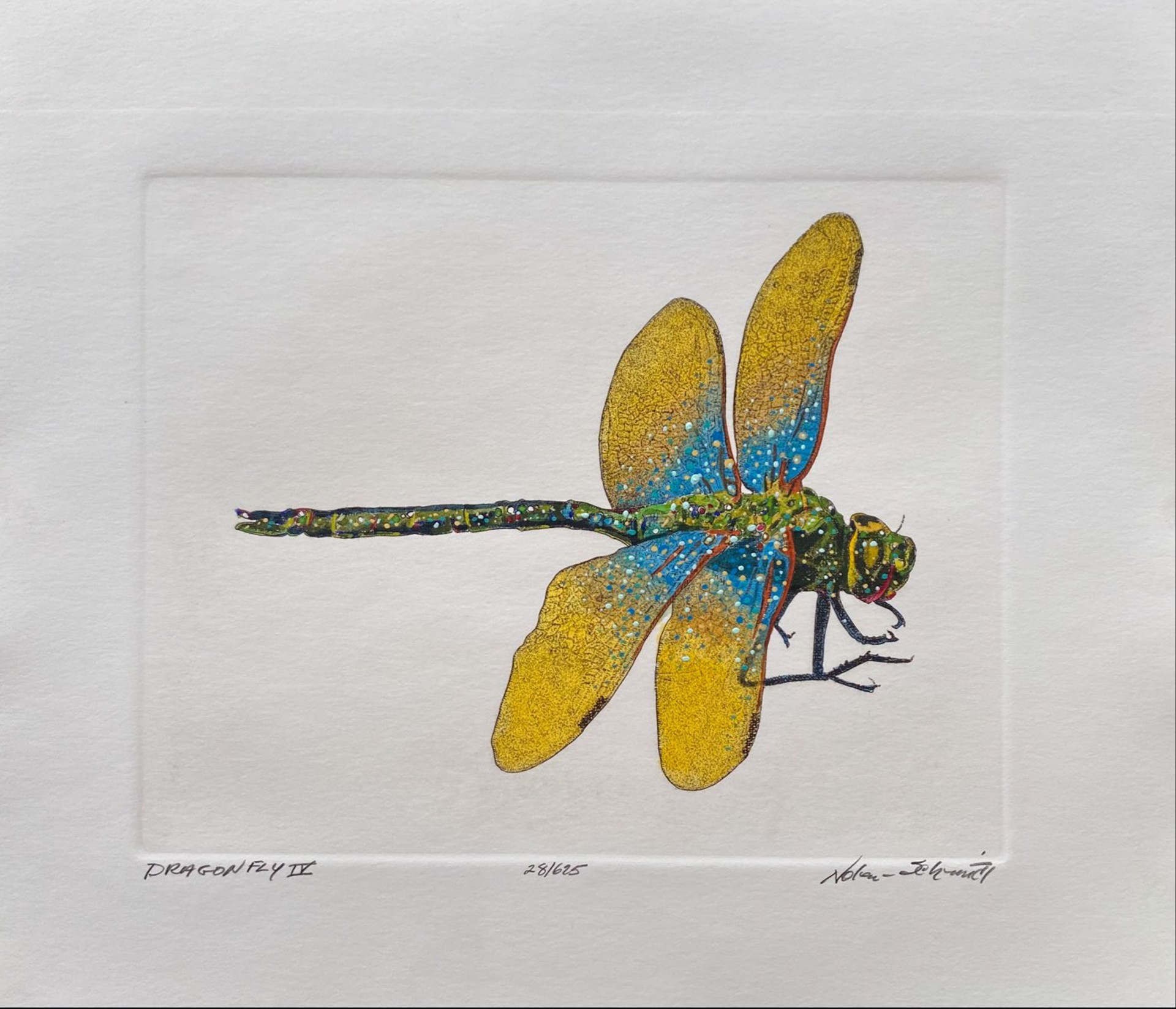 Dragonfly IV  28/625 by William Nolen-Schmidt