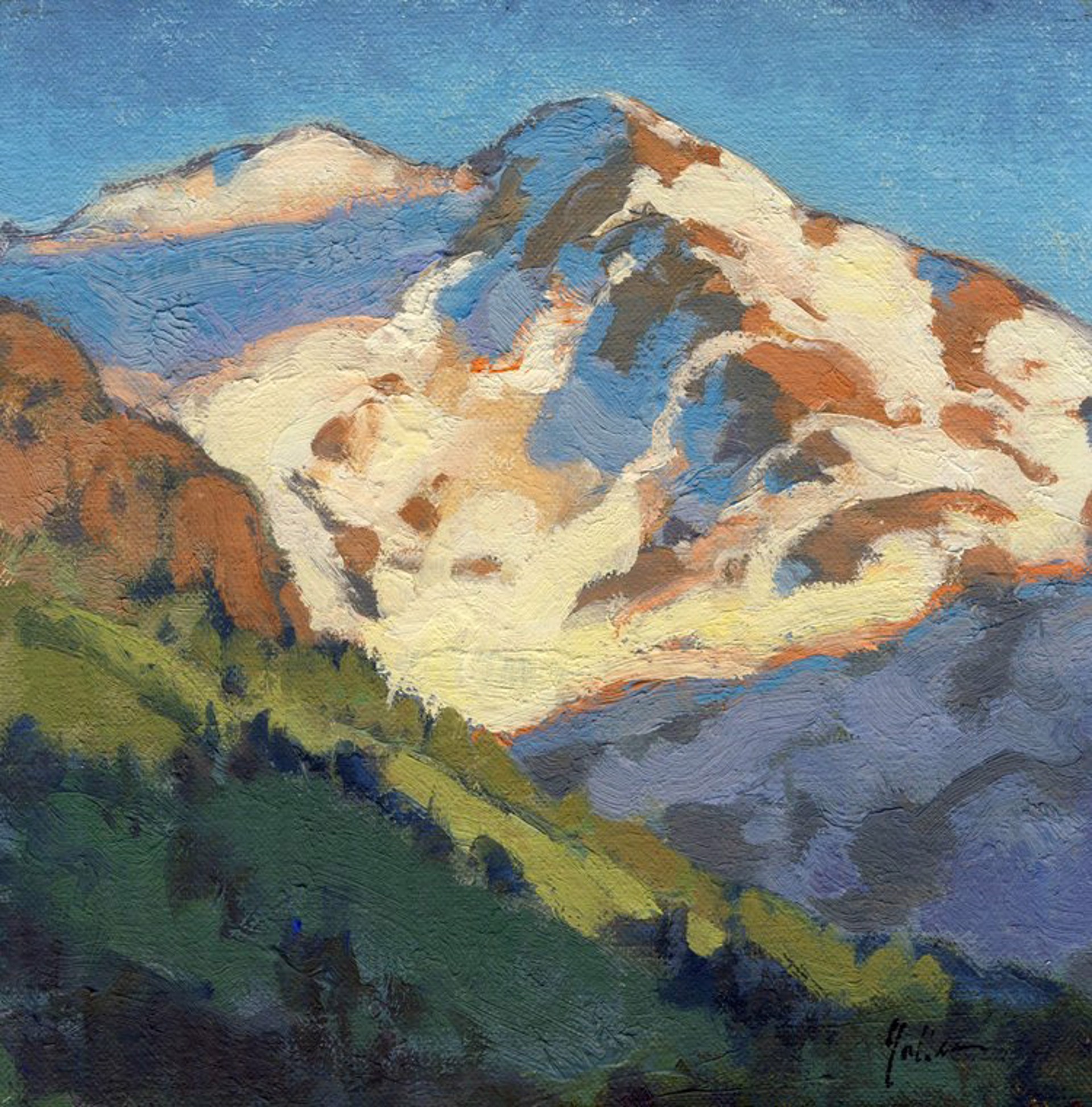 Alpine Patterns by Bill Gallen