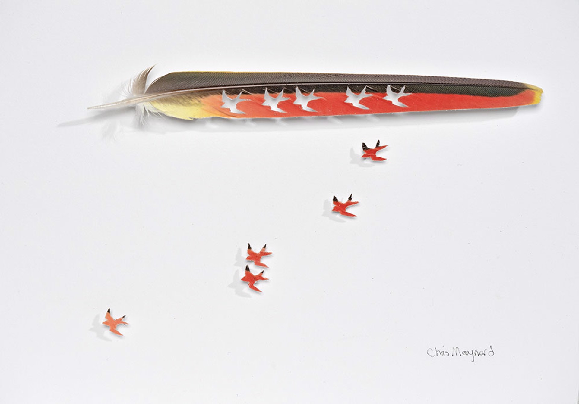 Five Little Red Swallows by Chris Maynard