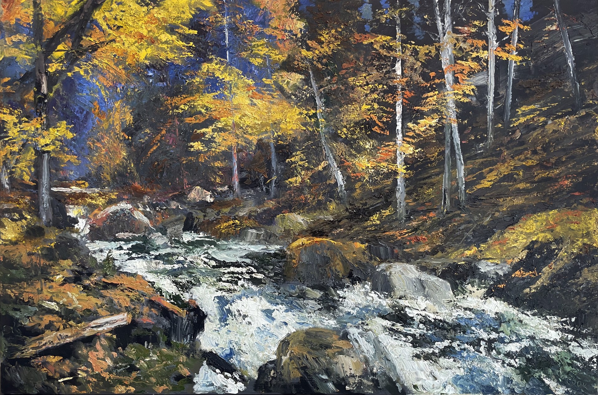 Mission Creek - Autumn by James Cook