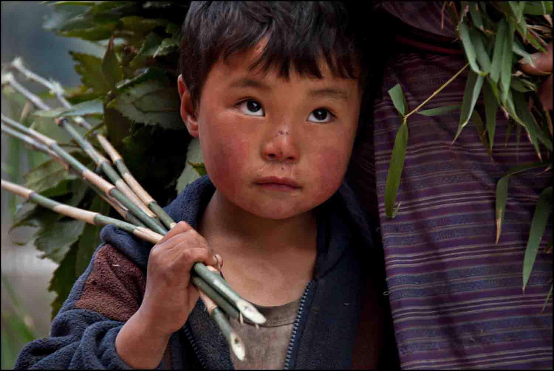 Bhutan Boy by Charles Porter