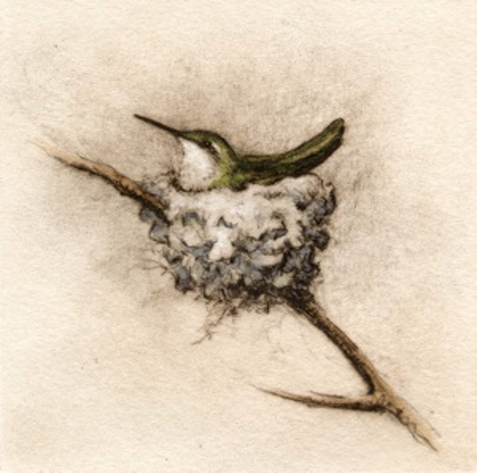 Nesting Hummer_unframed, #51/100 by Melanie Fain