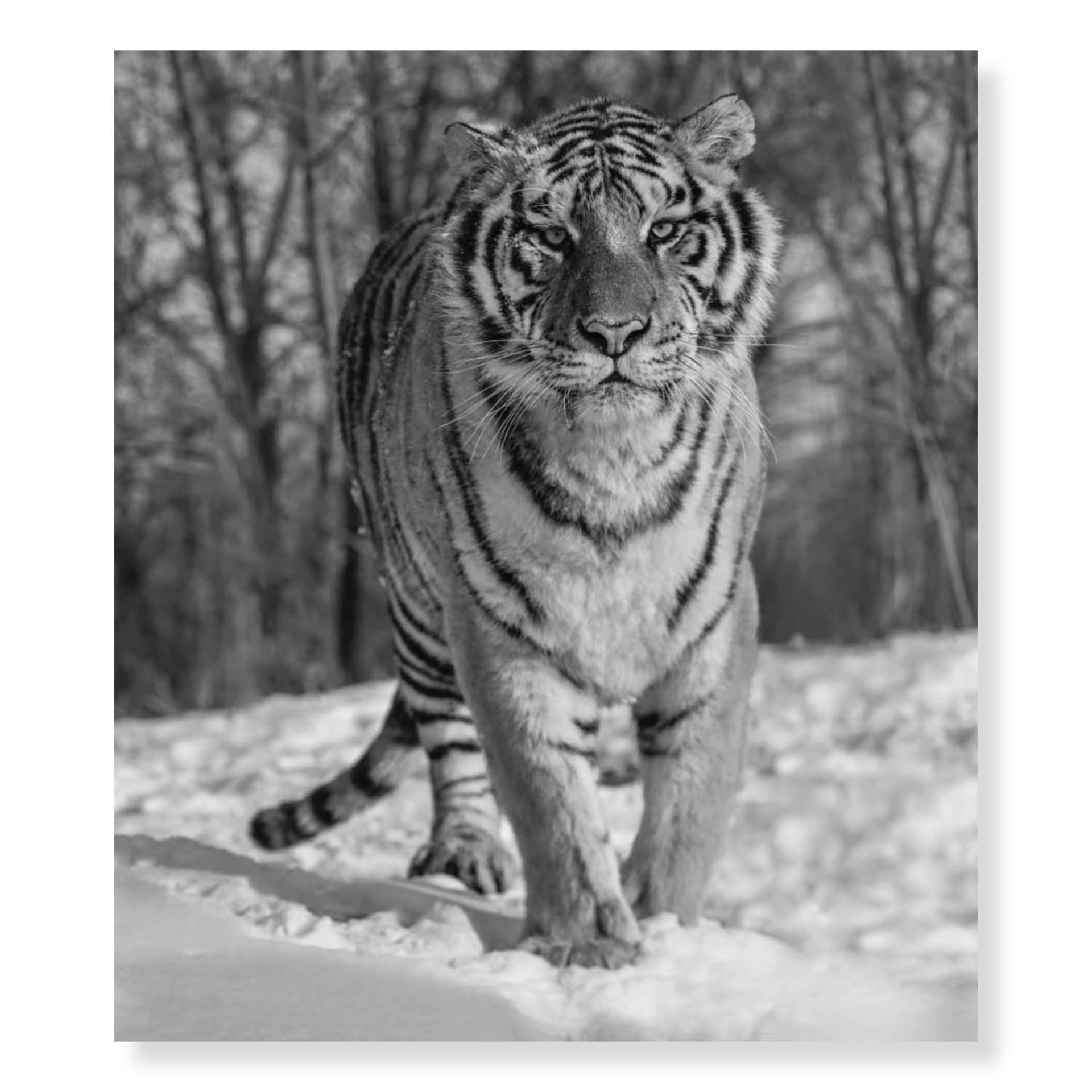 A View to Kill by David Yarrow