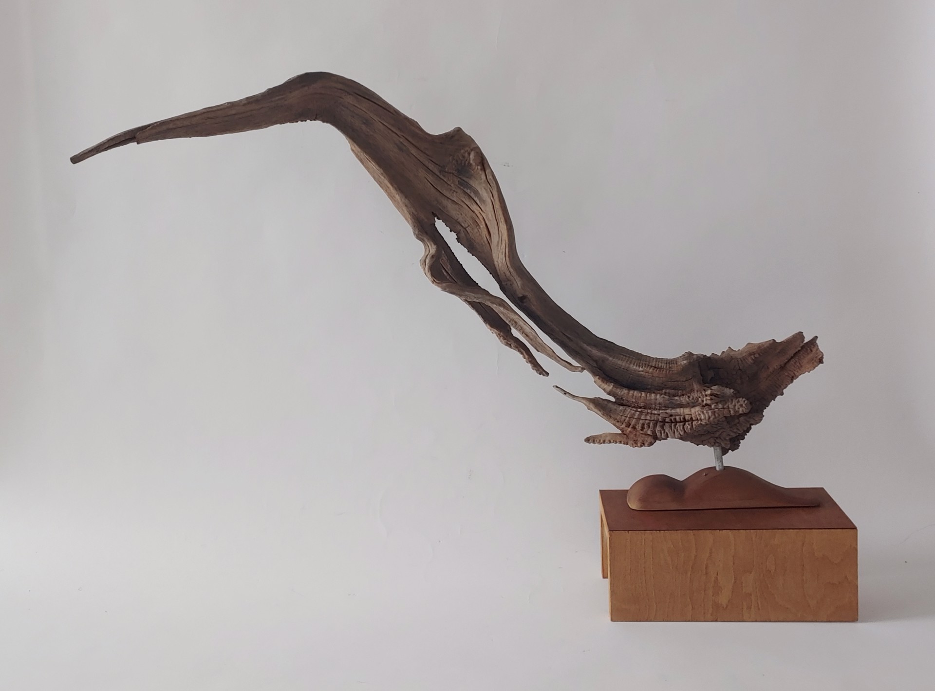Abstract #9 - Wood Sculpture by David Amdur