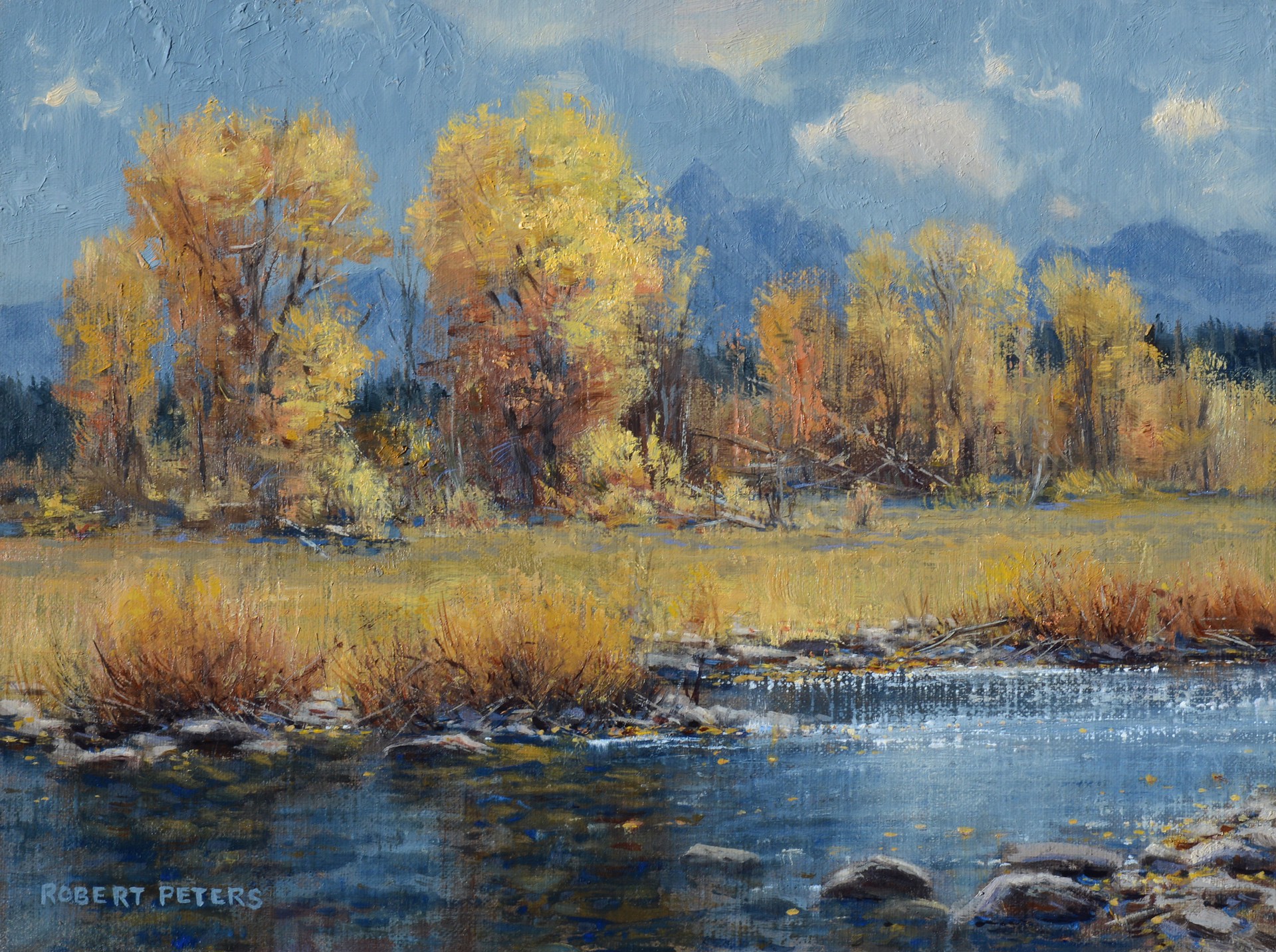 Pilgrim Creek Autumn by Robert Peters