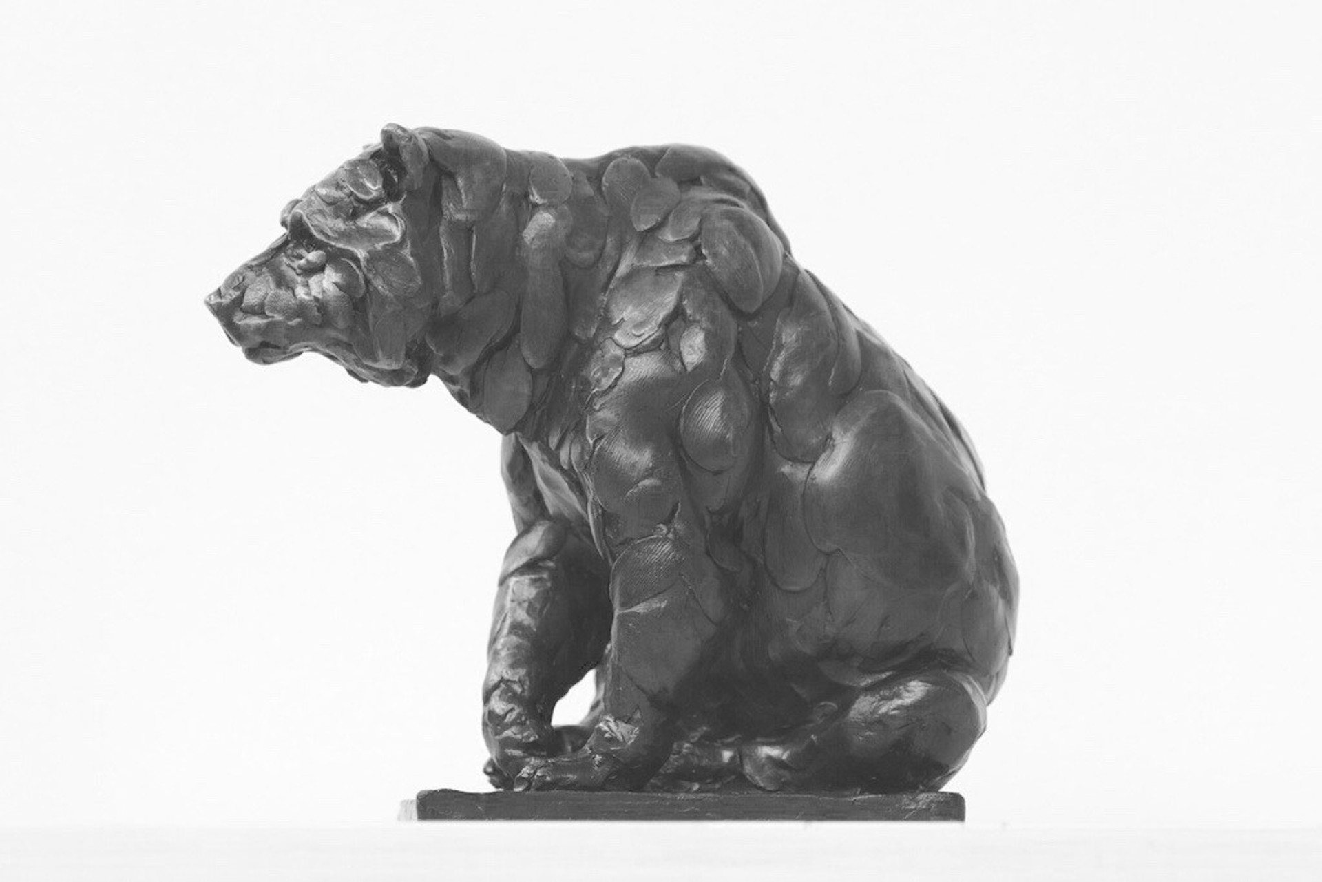 Bronze Bear by JAMES STEWART