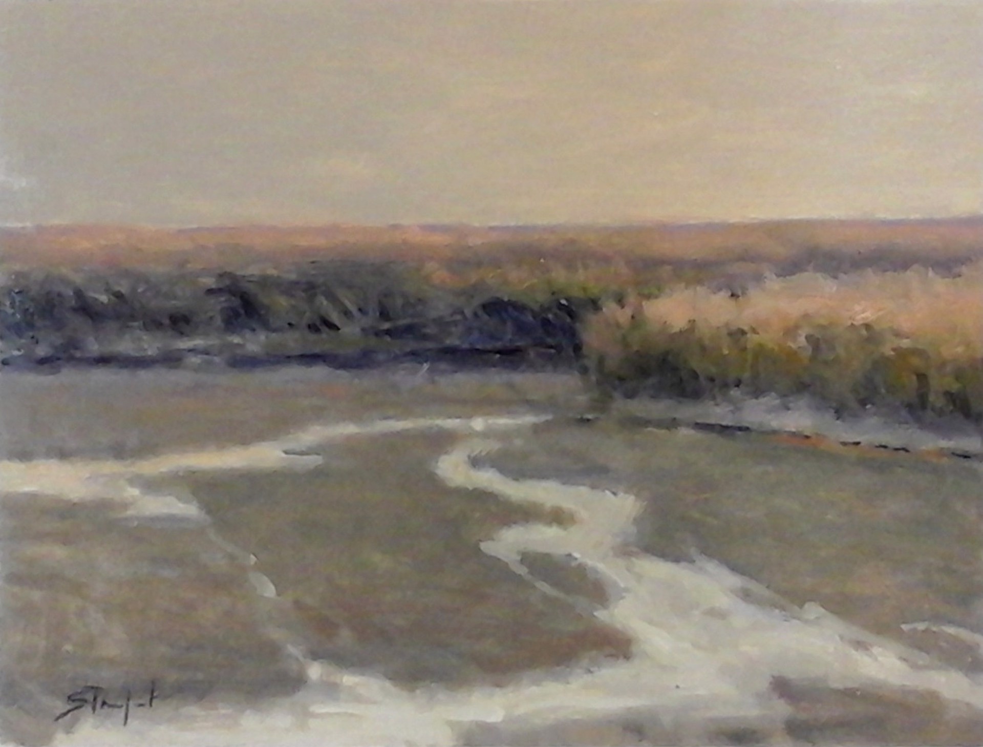 Coastal Marsh Study by John Stanford