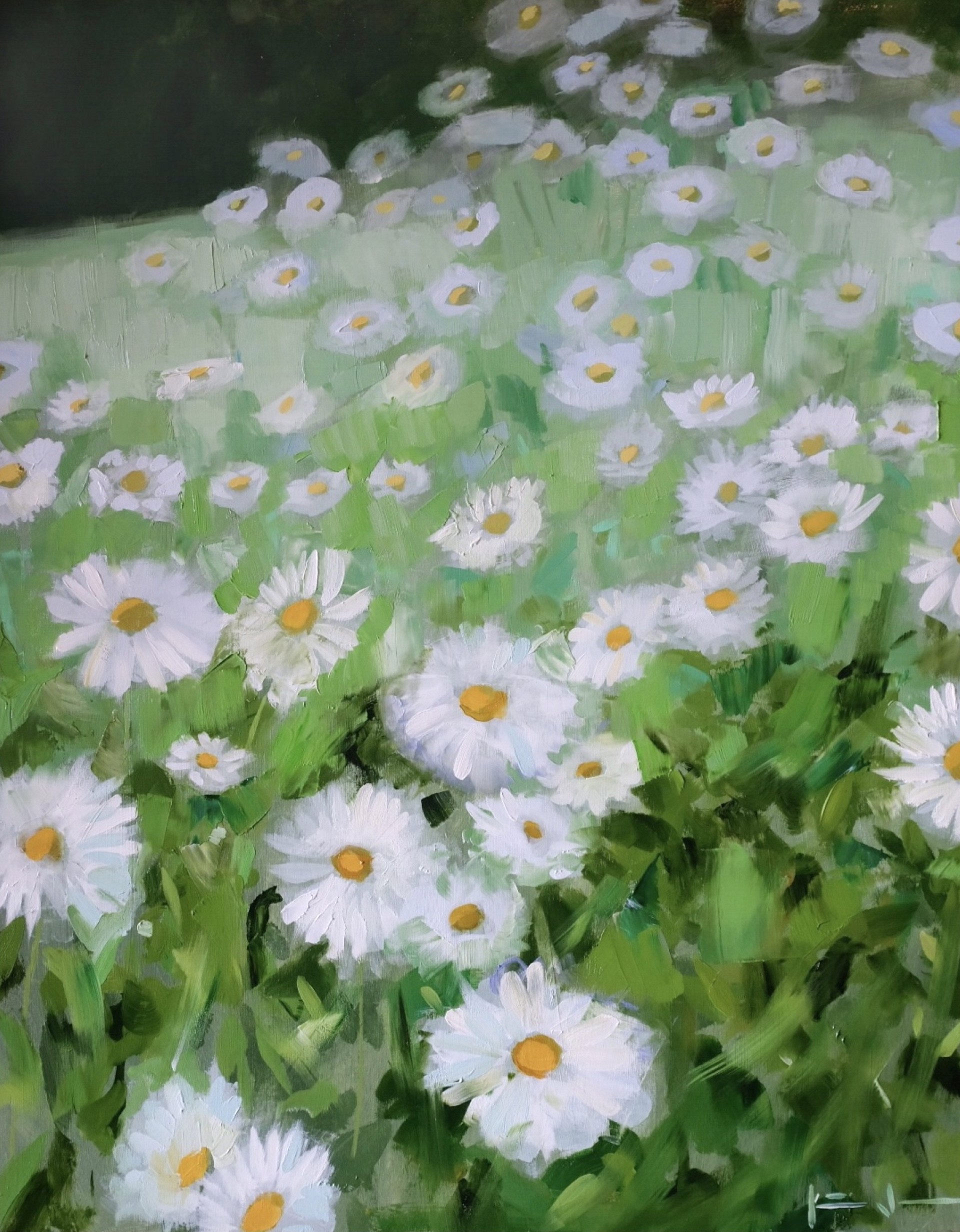 Daisy Dream by Katie Jacobson