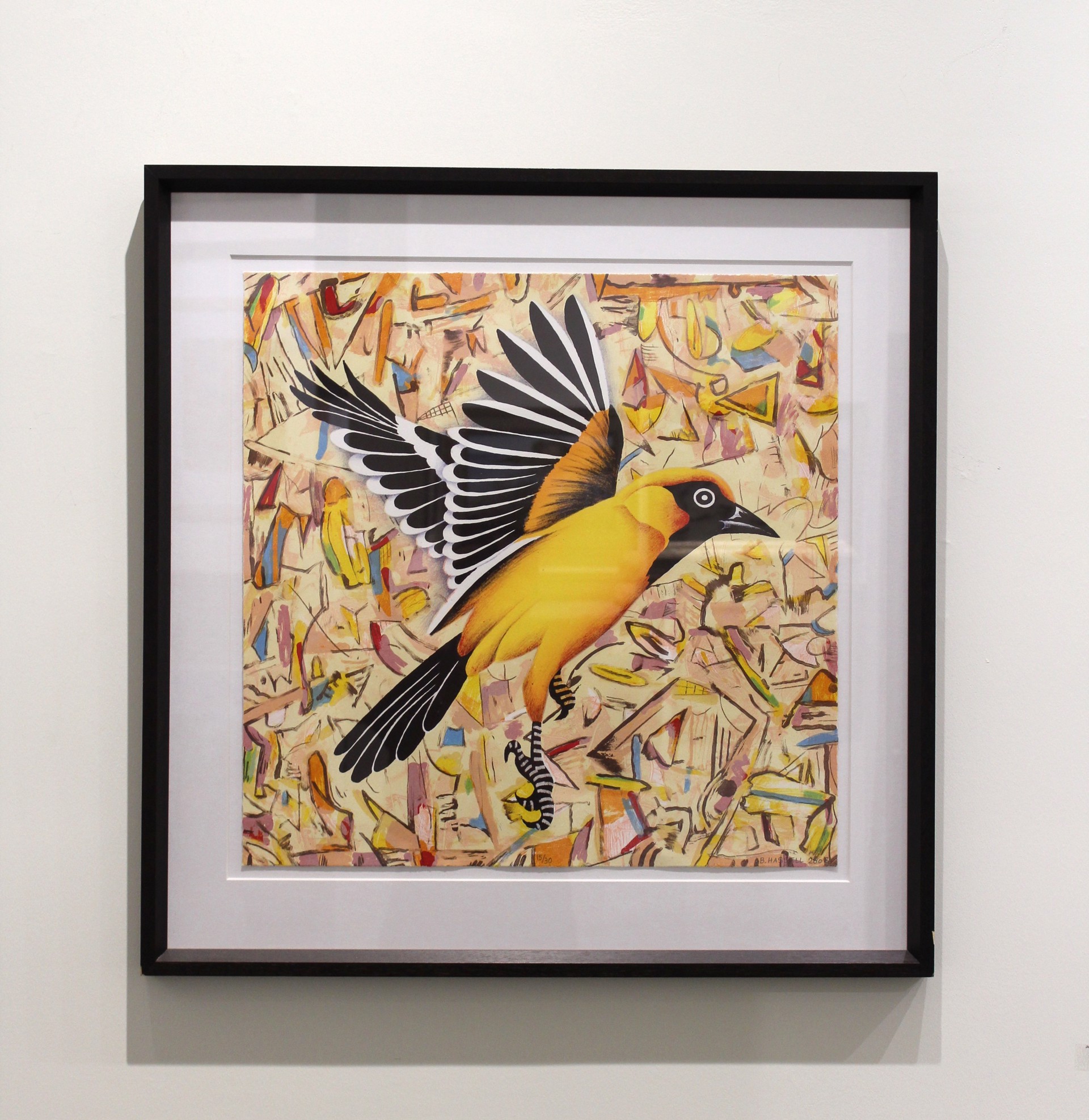 Oriole by Billy Hassell
