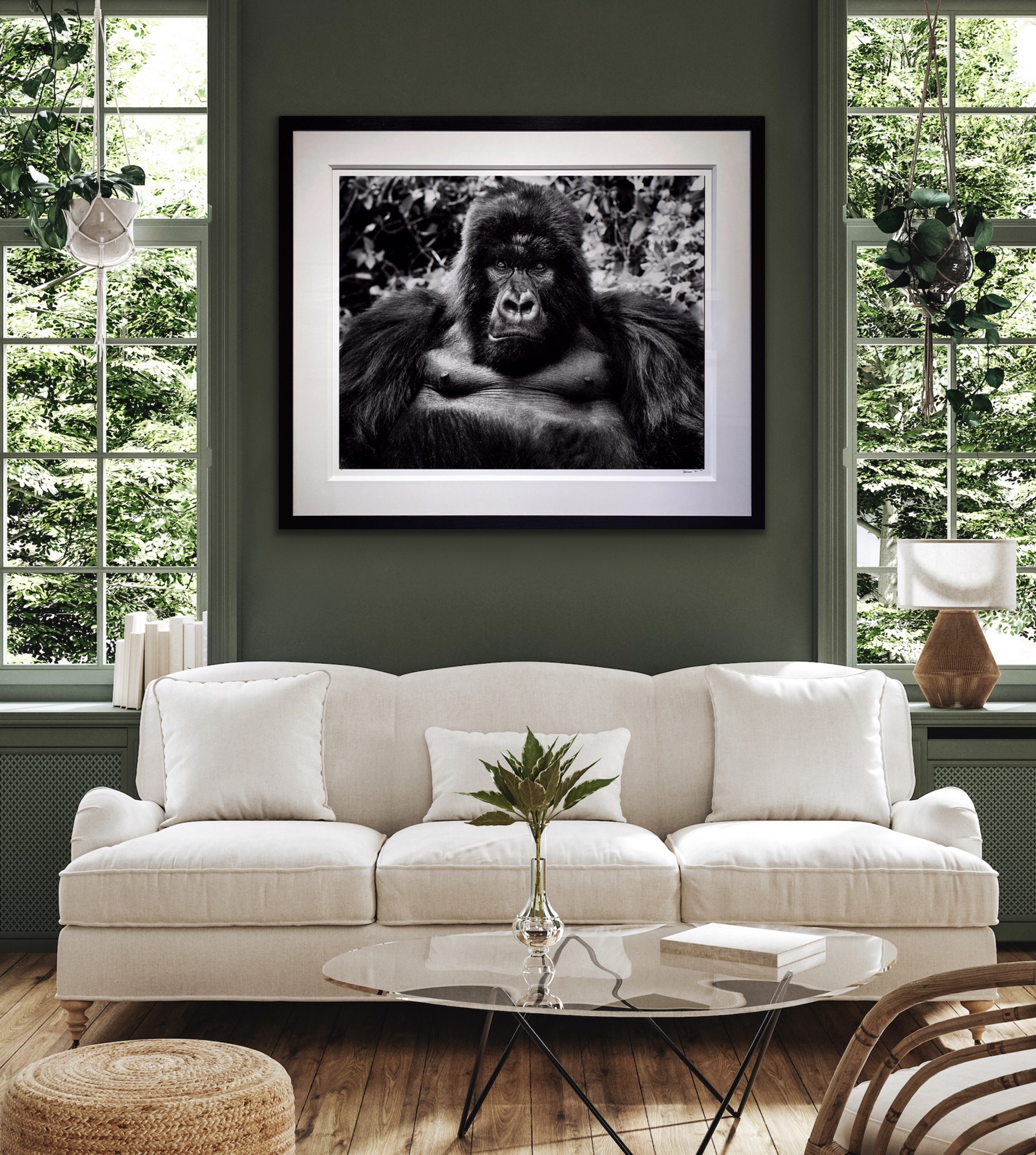 King Kong by David Yarrow
