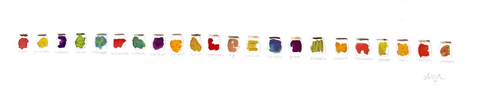 22 canning jars by Rachael Van Dyke