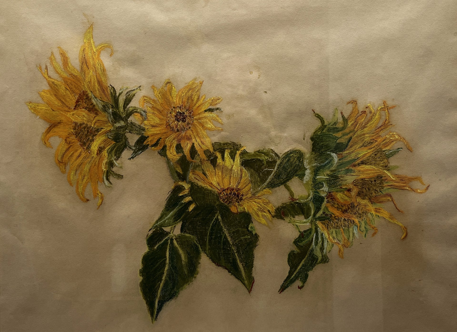 Sunflowers by Ione Gaul Walker