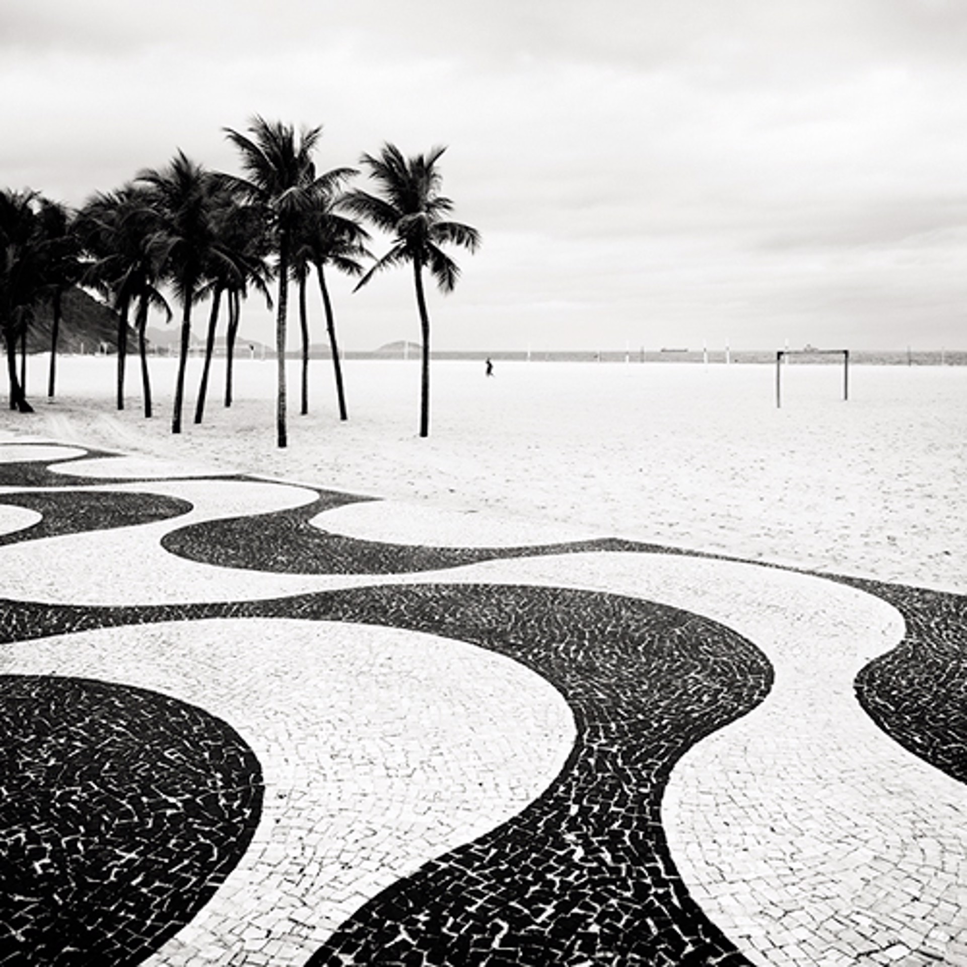 Copacabana Palms II by Josef Hoflehner