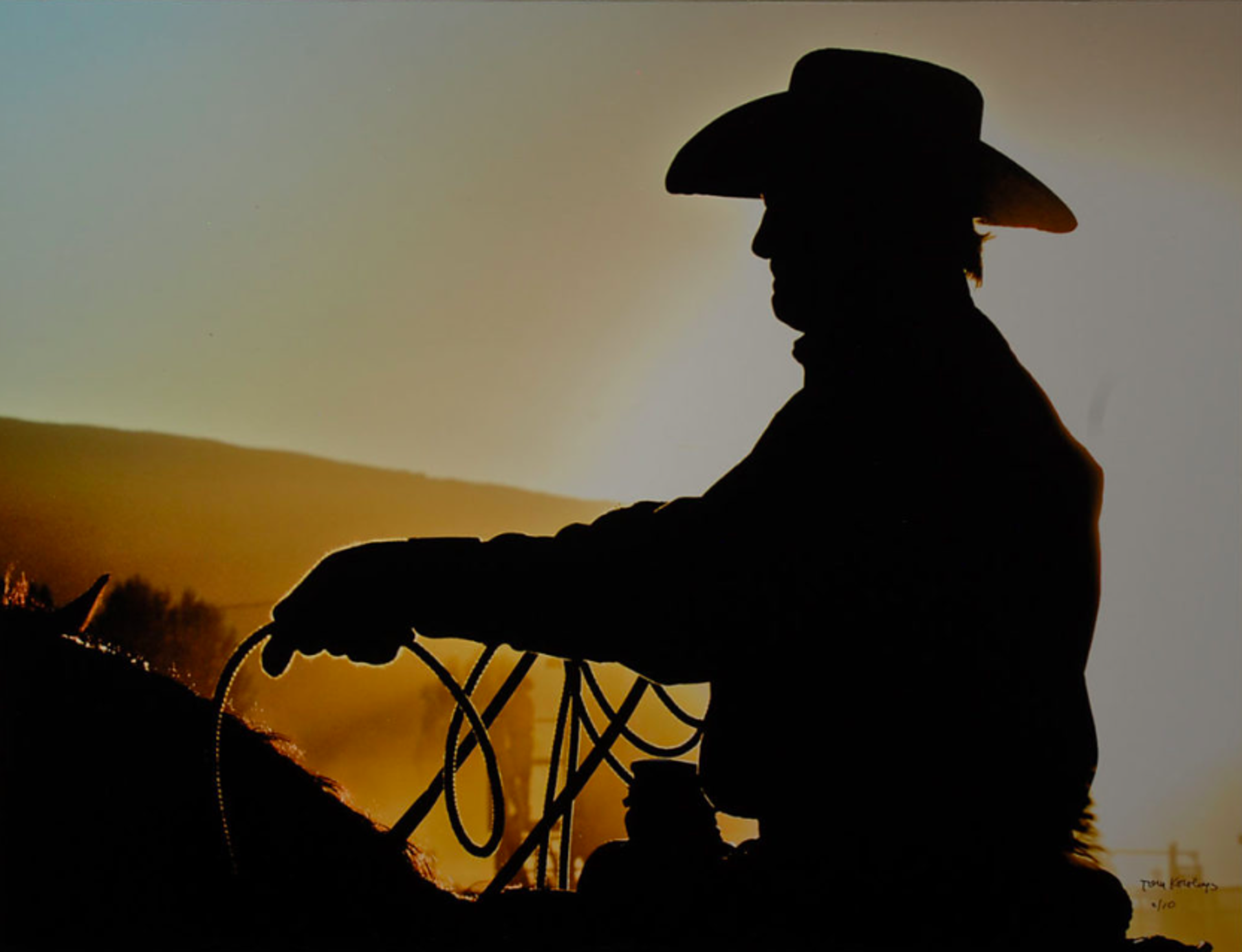 Carbondale Cowboy by Tom Korologos