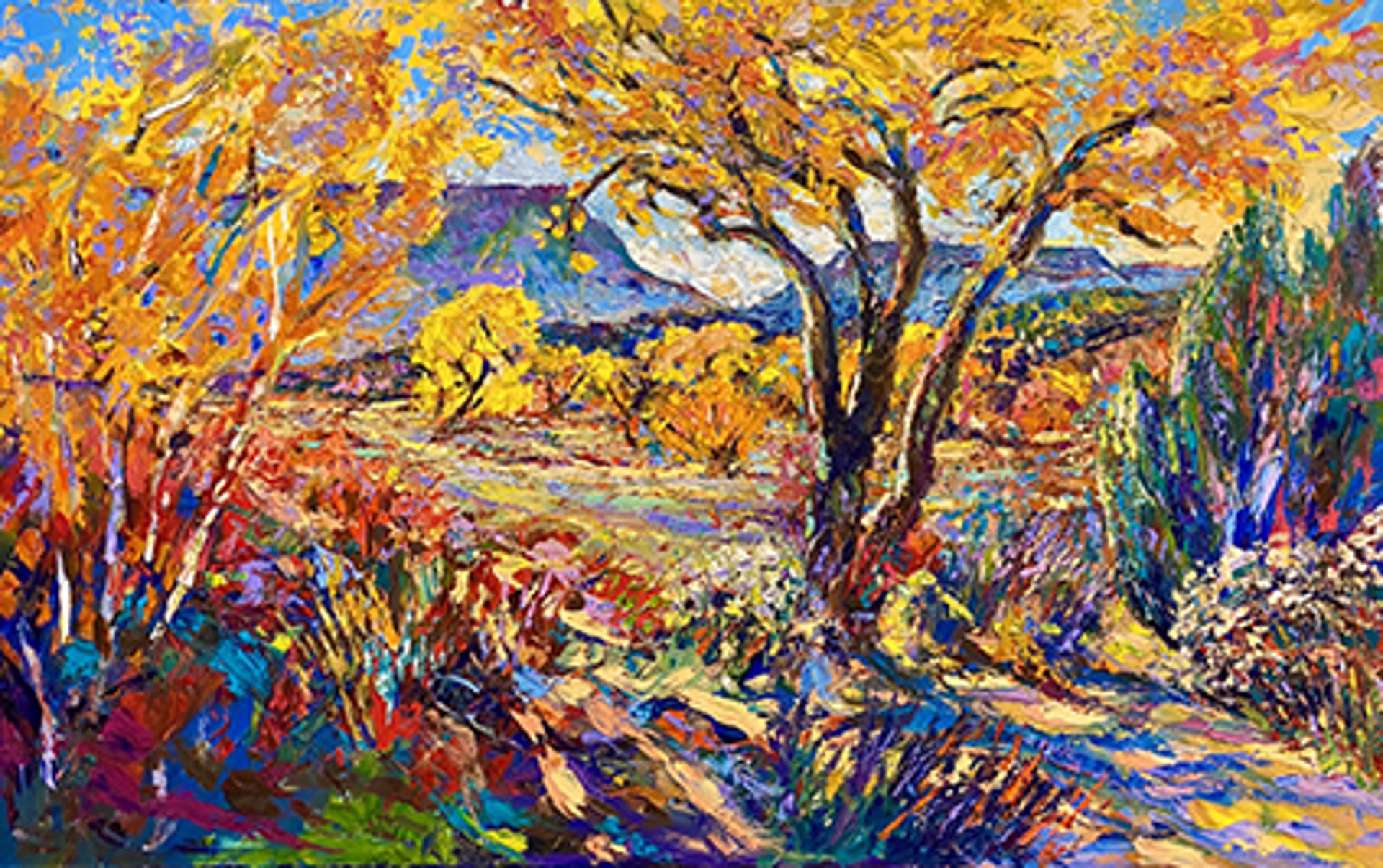 Afternoon Cottonwoods, Abiquiu by Barbara Meikle