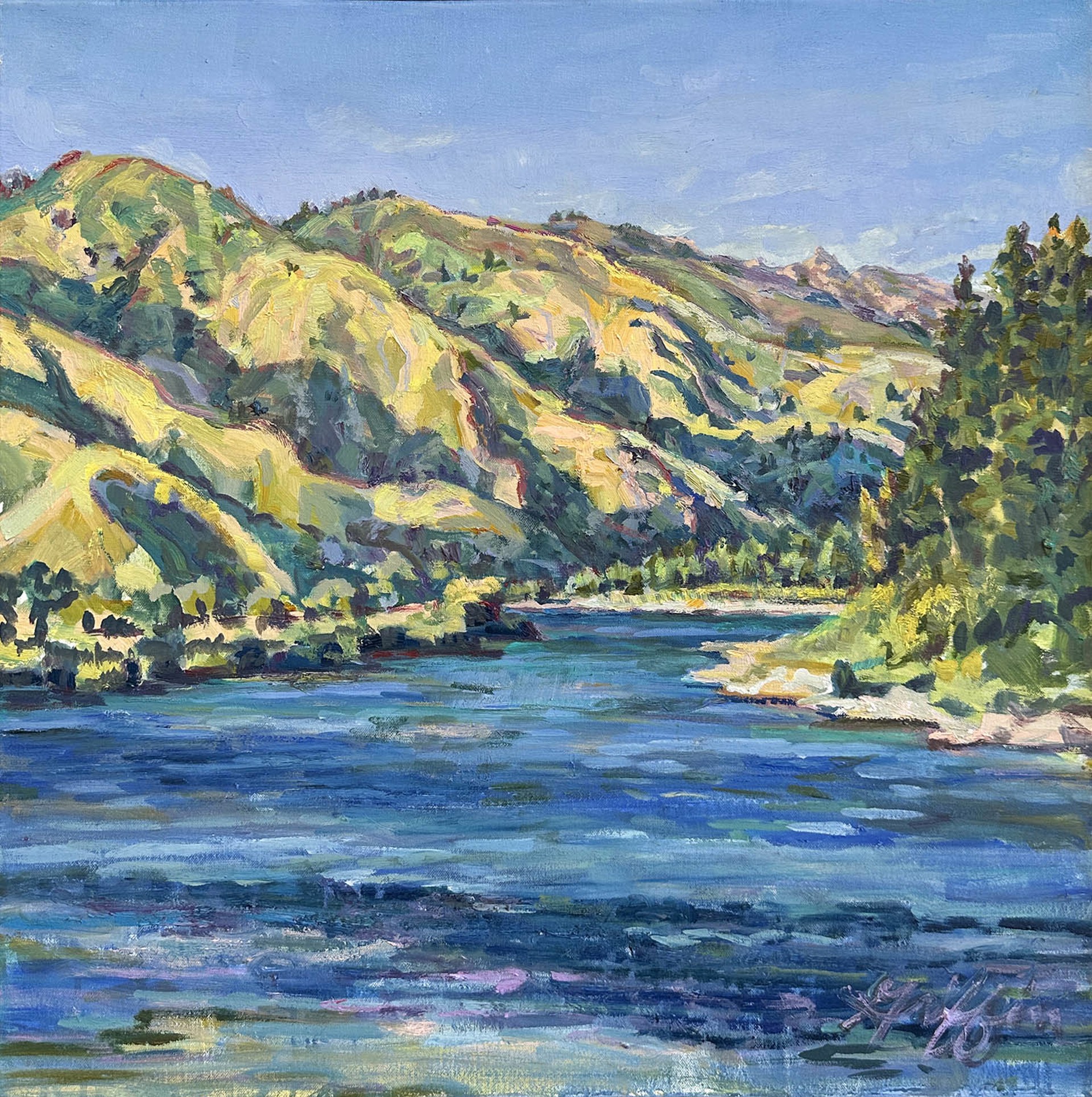 Original Oil Painting By Patricia Griffin Featuring A Landscape View From The Bank Of The Snake River In Summer